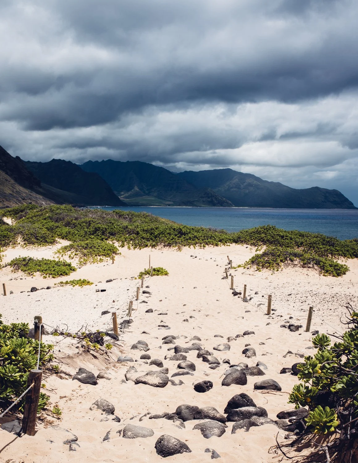 ijfkeridgley-oahu-kaenapoint-web-4.jpg