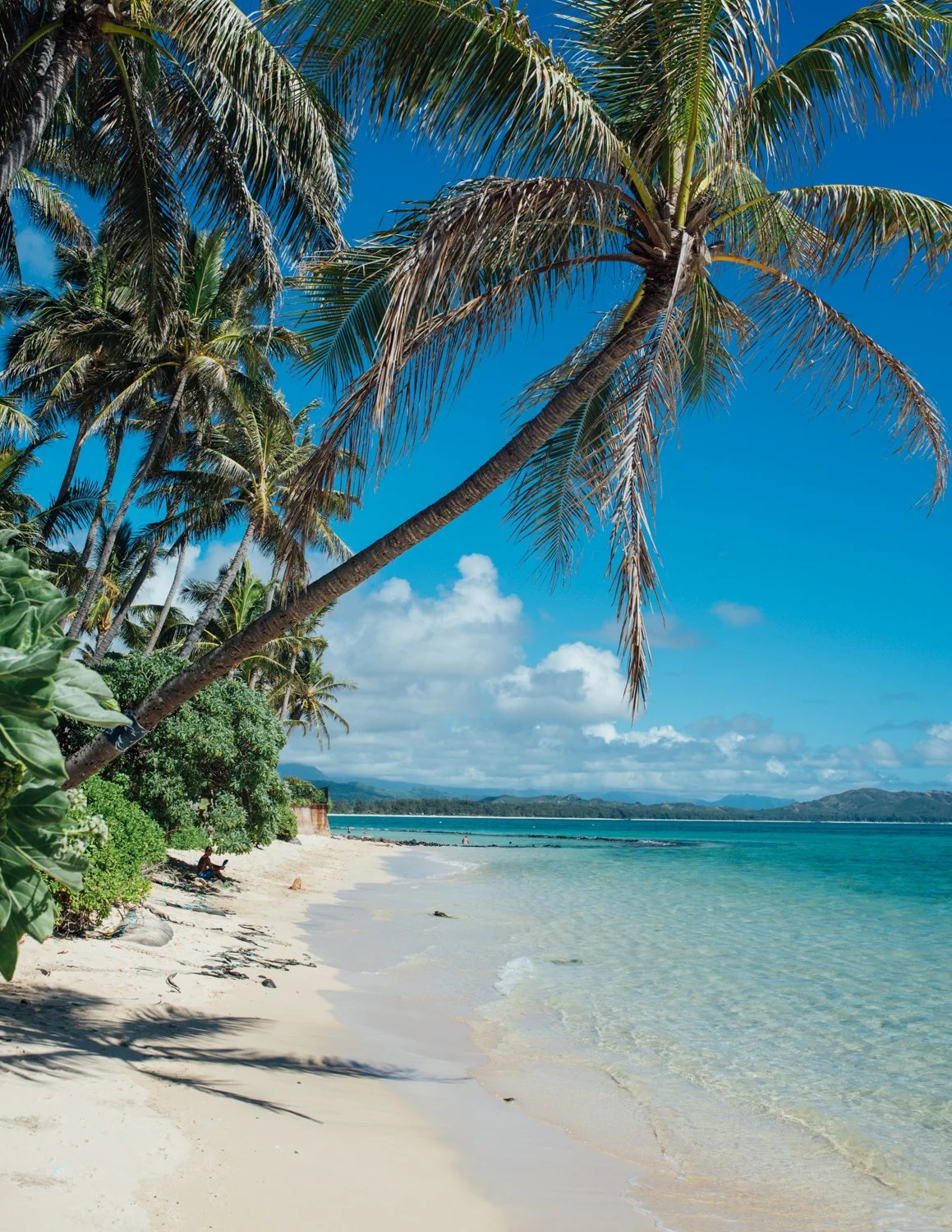 oahu-waimanalo-web-2.jpg