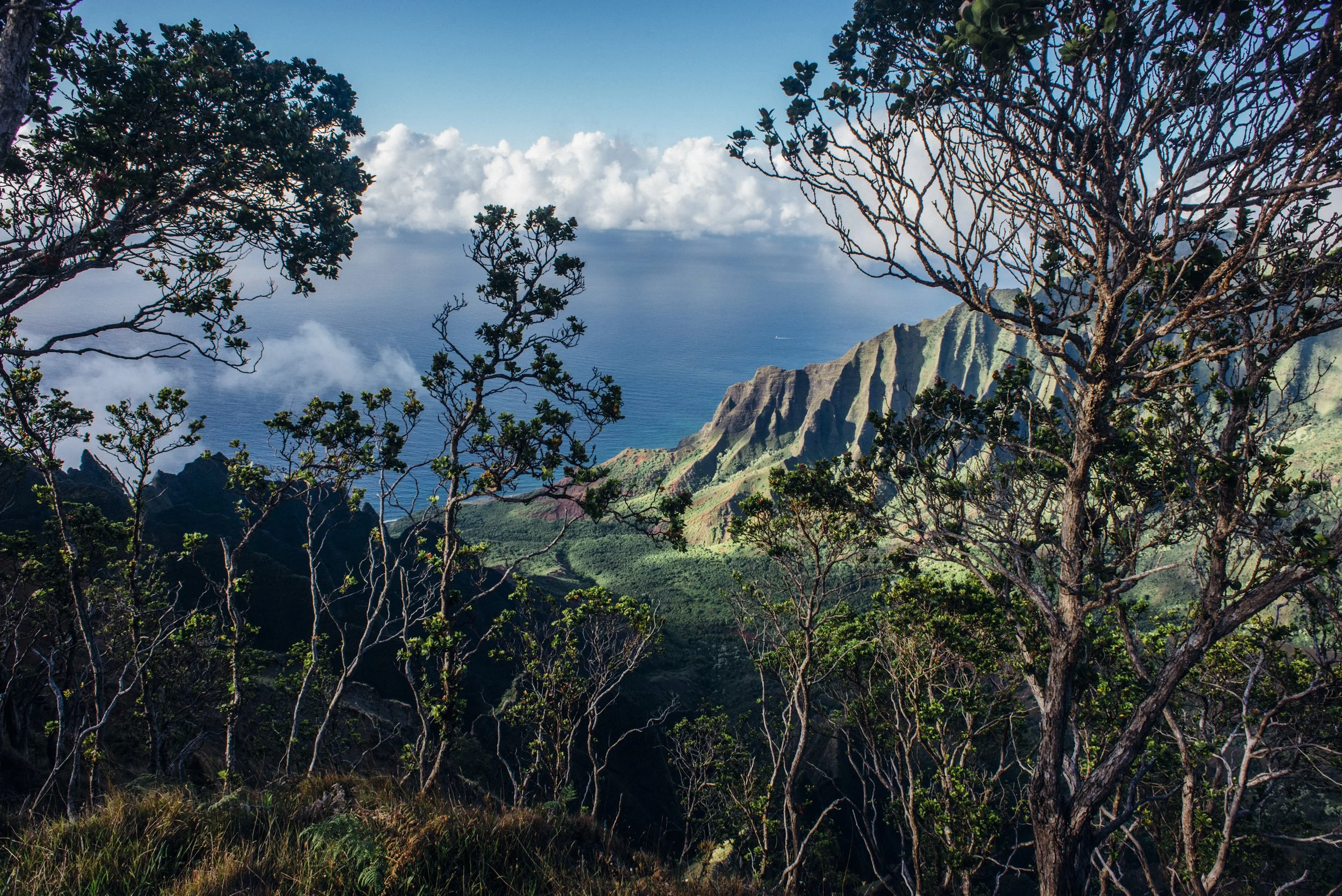 kauai-northshore-ijfkeridgley-print-napali-3.jpg