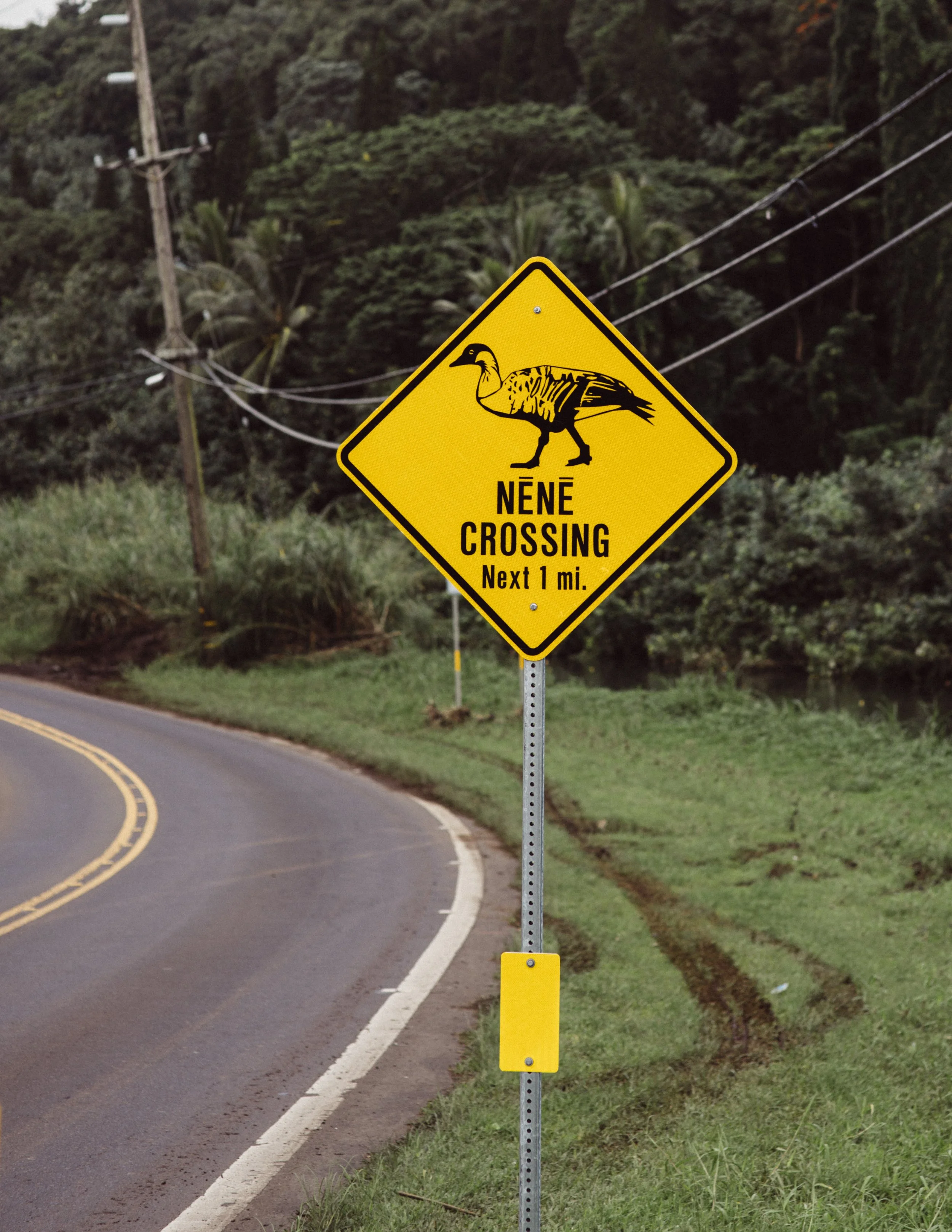 kauai-northshore-ijfkeridgley-print-hanalei-9.jpg