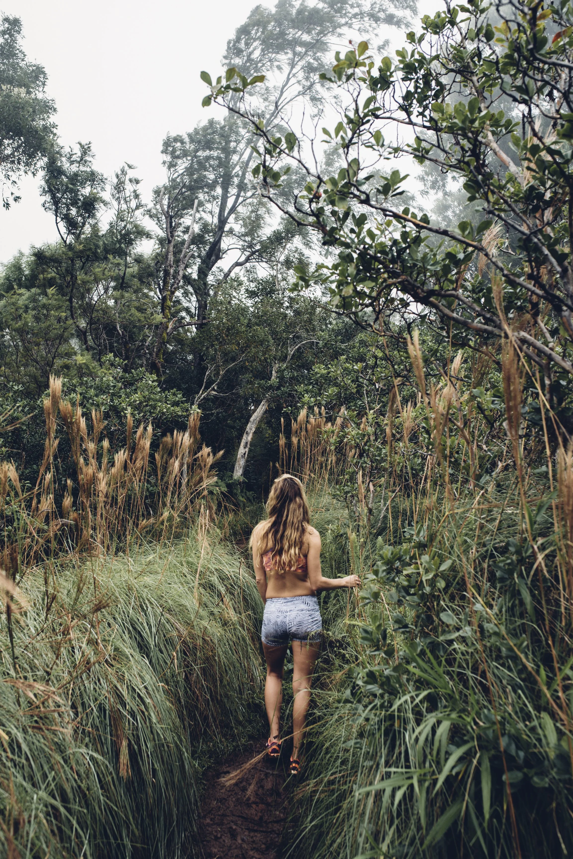 kauai-northshore-ijfkeridgley-print-hiking-8.jpg