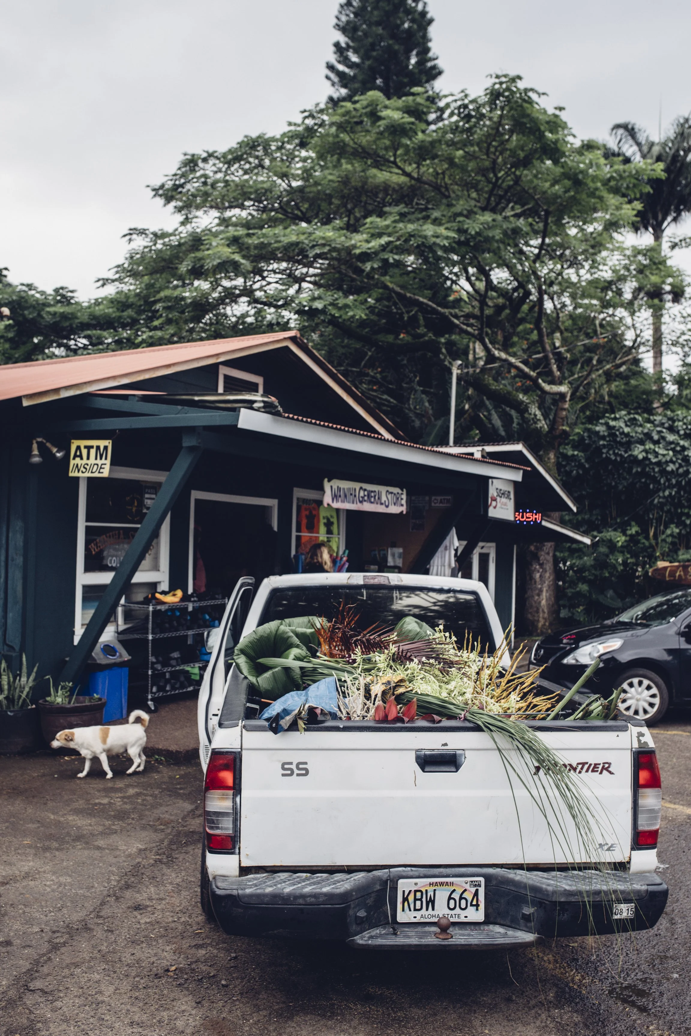kauai-northshore-ijfkeridgley-print-haena-1.jpg