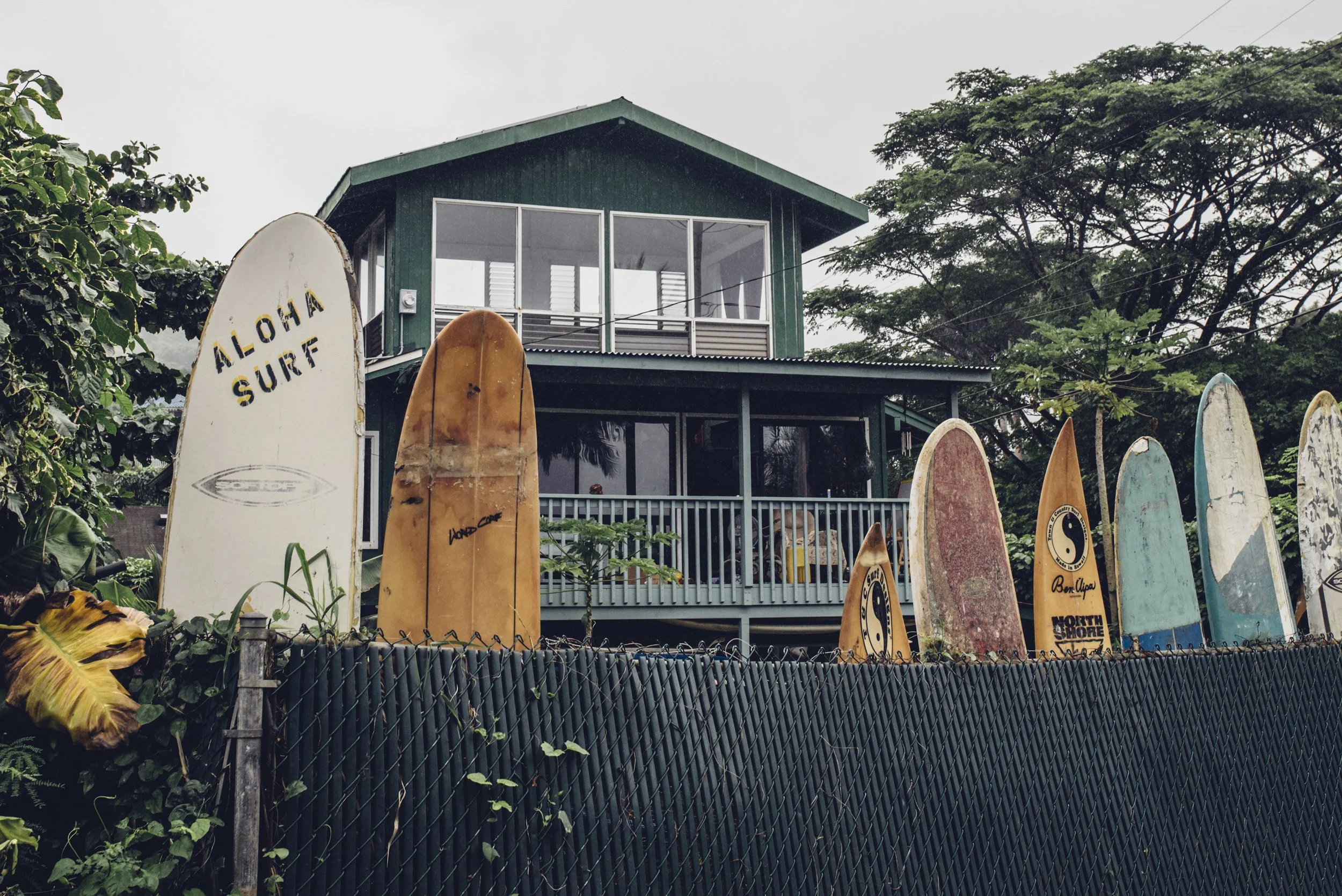kauai-northshore-ijfkeridgley-print-haena-5.jpg