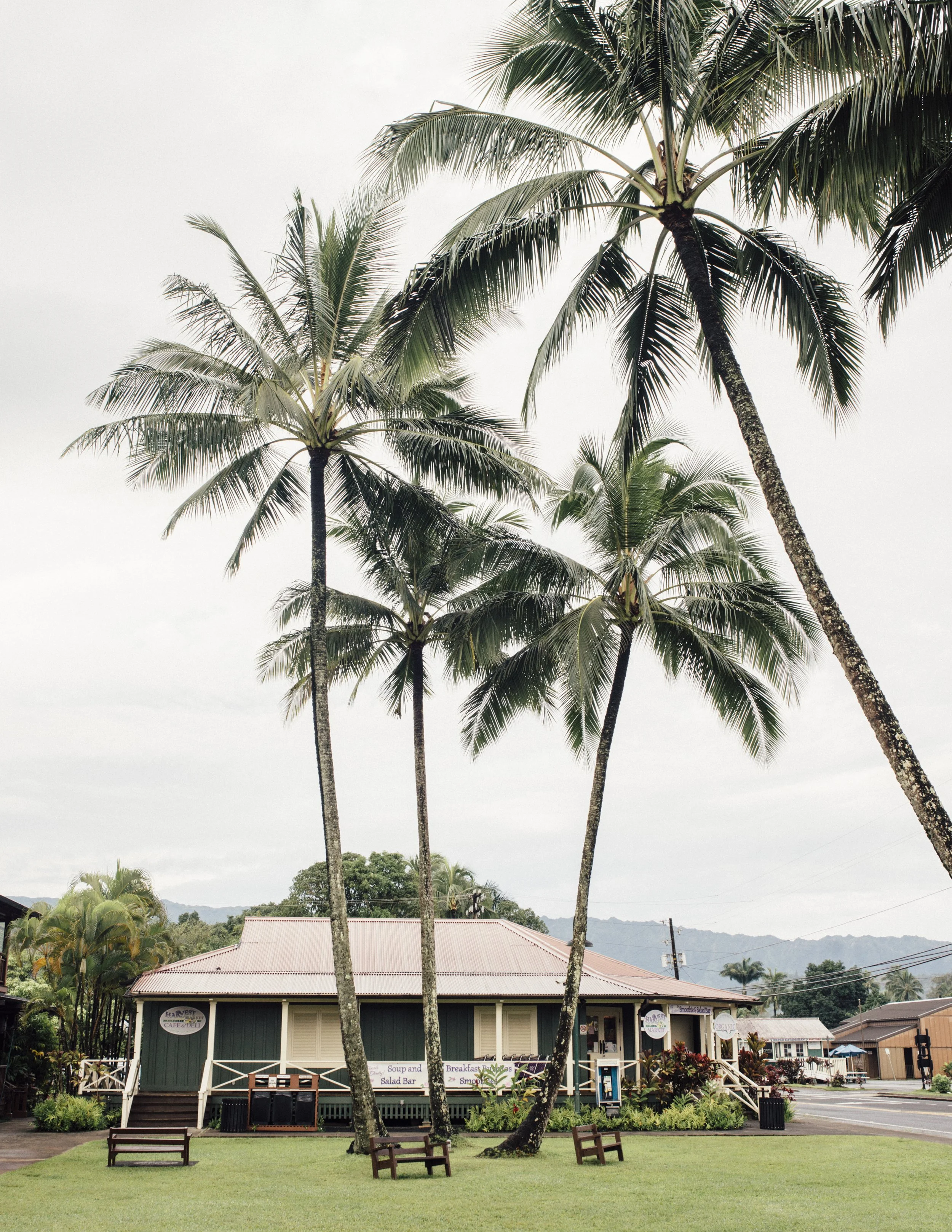 kauai-northshore-ijfkeridgley-print-hanalei-1.jpg