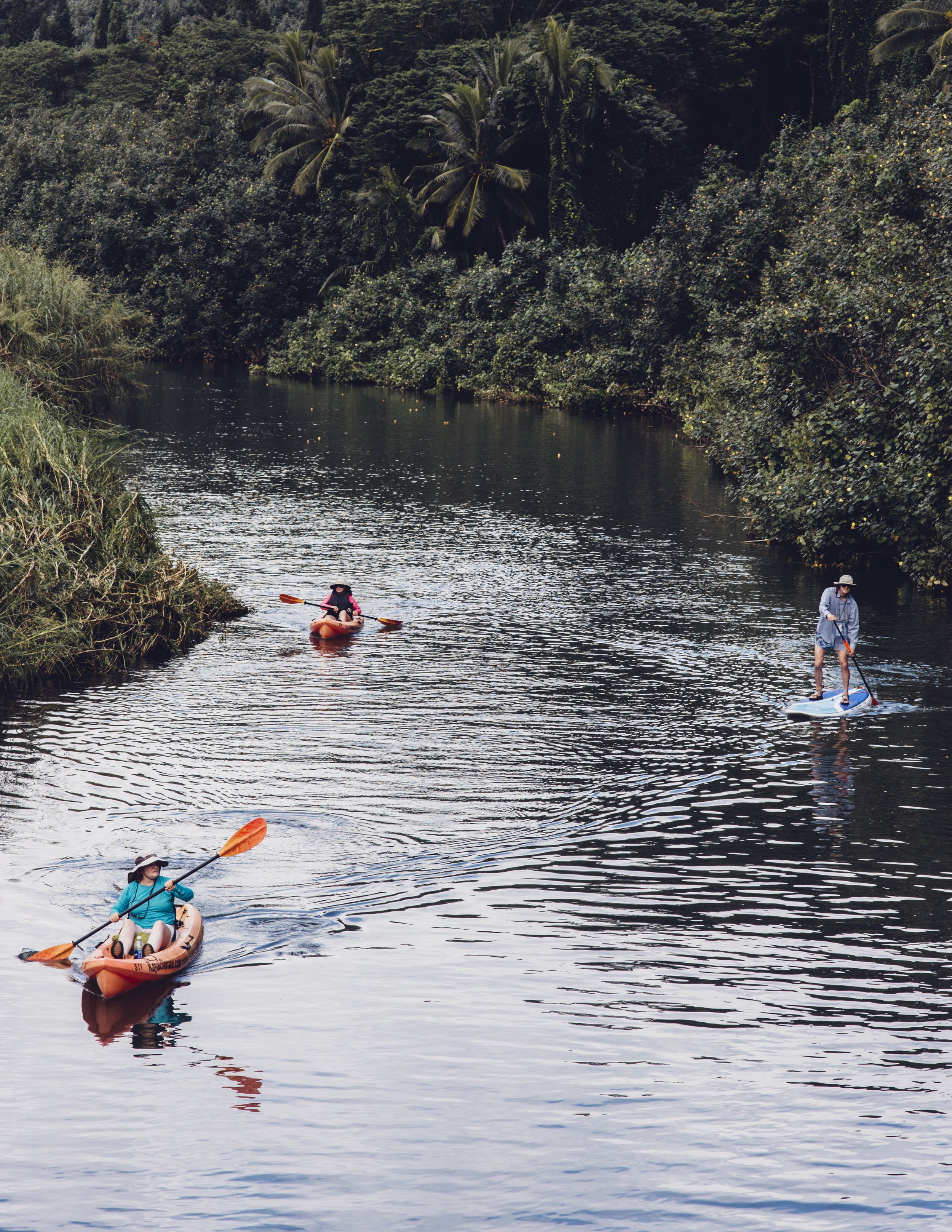 kauai-northshore-ijfkeridgley-print-hanalei-7.jpg