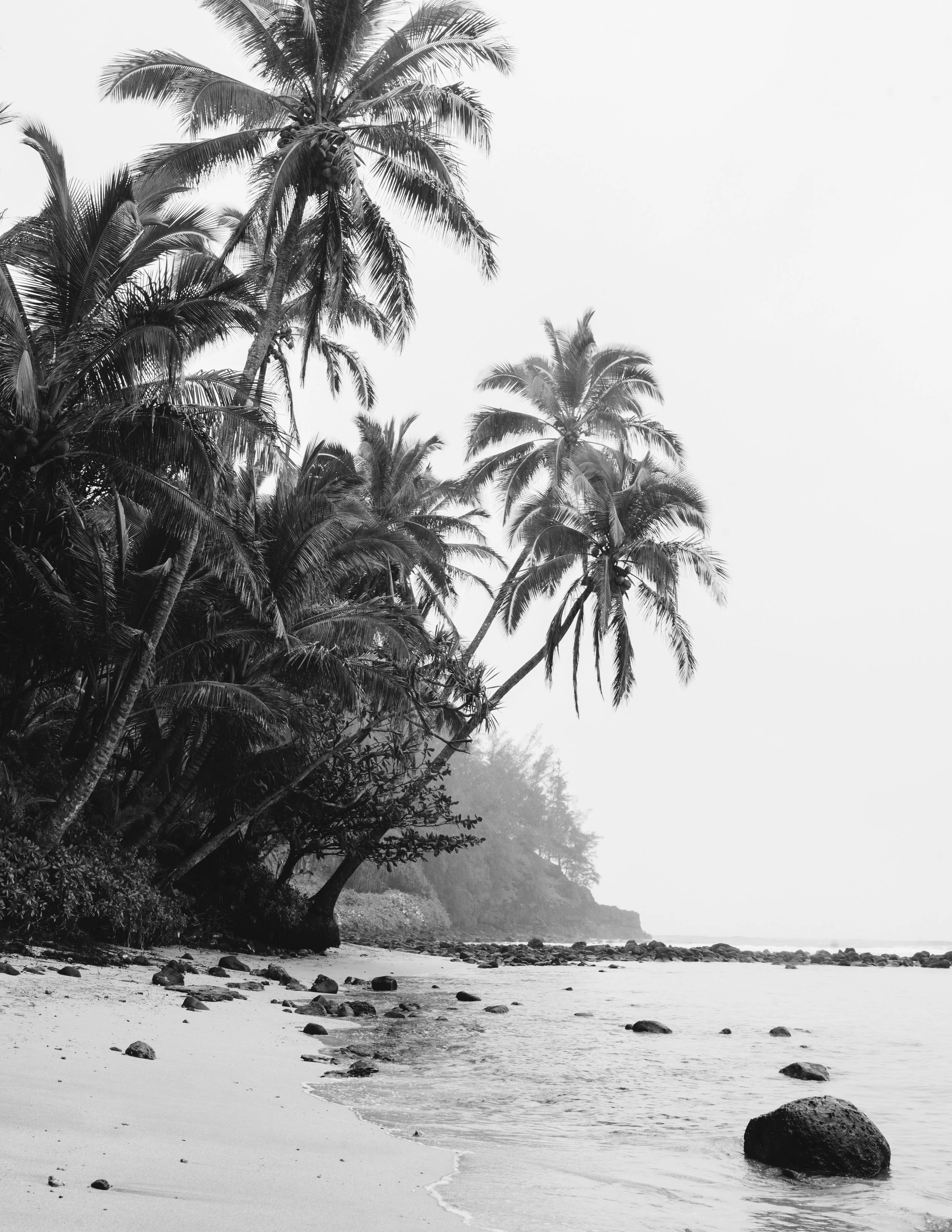 kauai-northshore-ijfkeridgley-print-beach-6.jpg