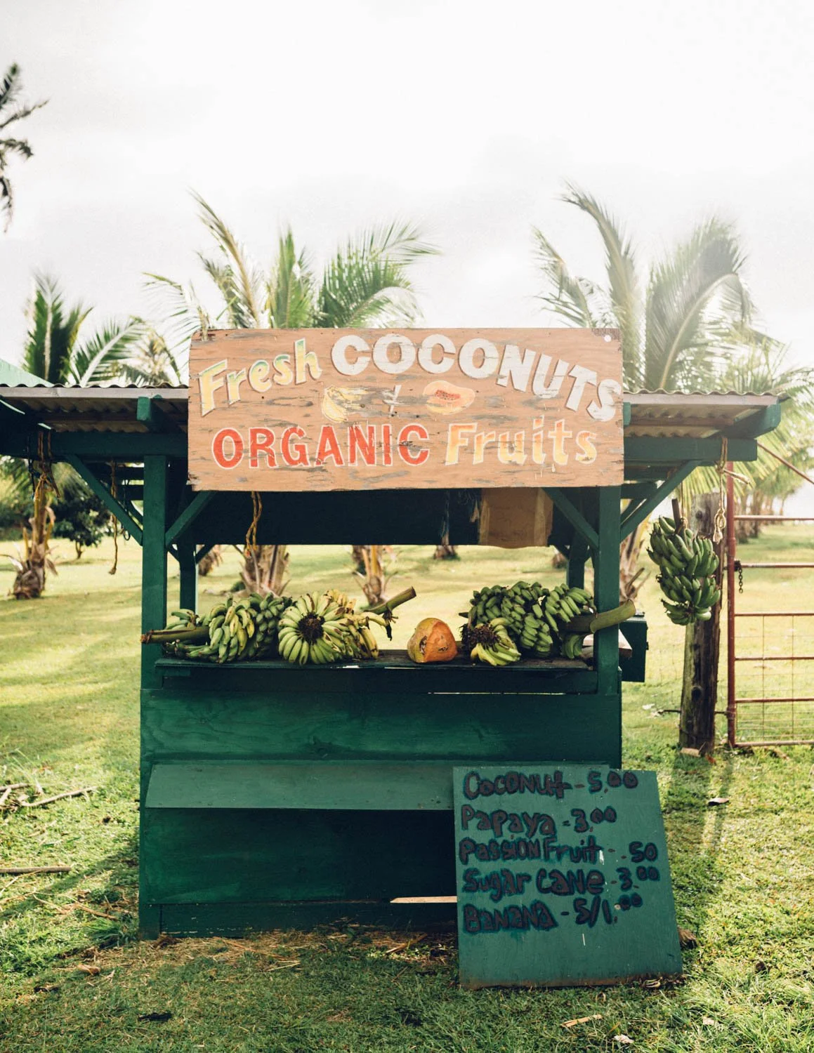 fluxmag-hana-farmstand-web-2.jpg