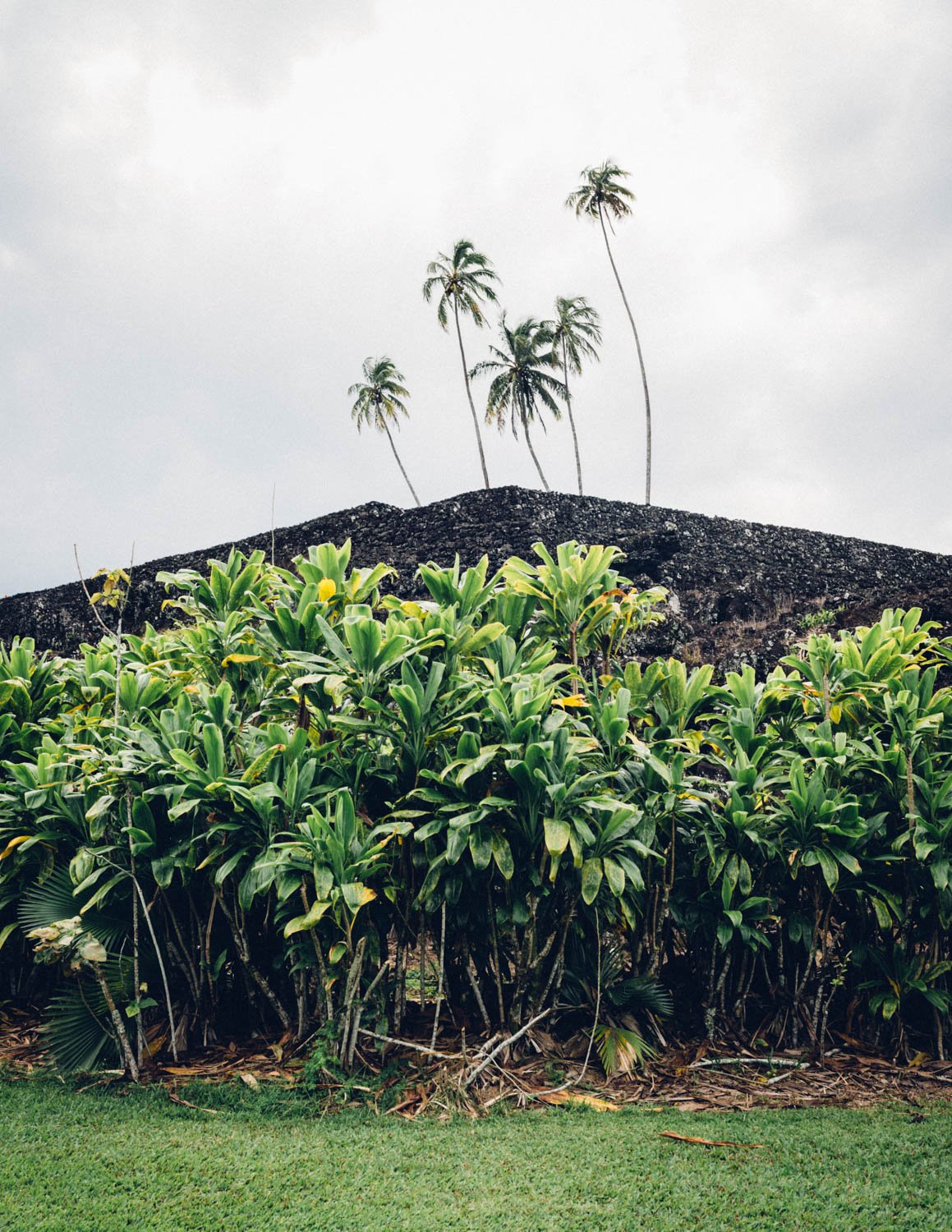fluxmag-hana-kahanugardens-web-4.jpg