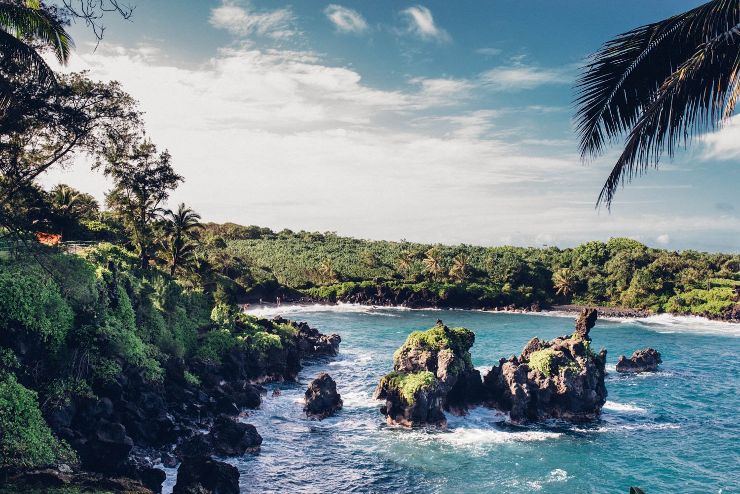 fluxmag-hana-waianapanapa-web-1.jpg