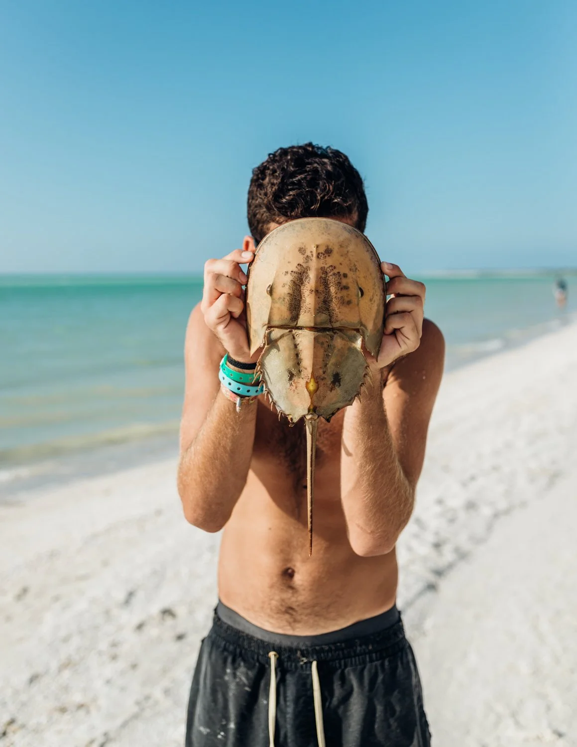 mexico-islaholbox-may16-web-22.jpg