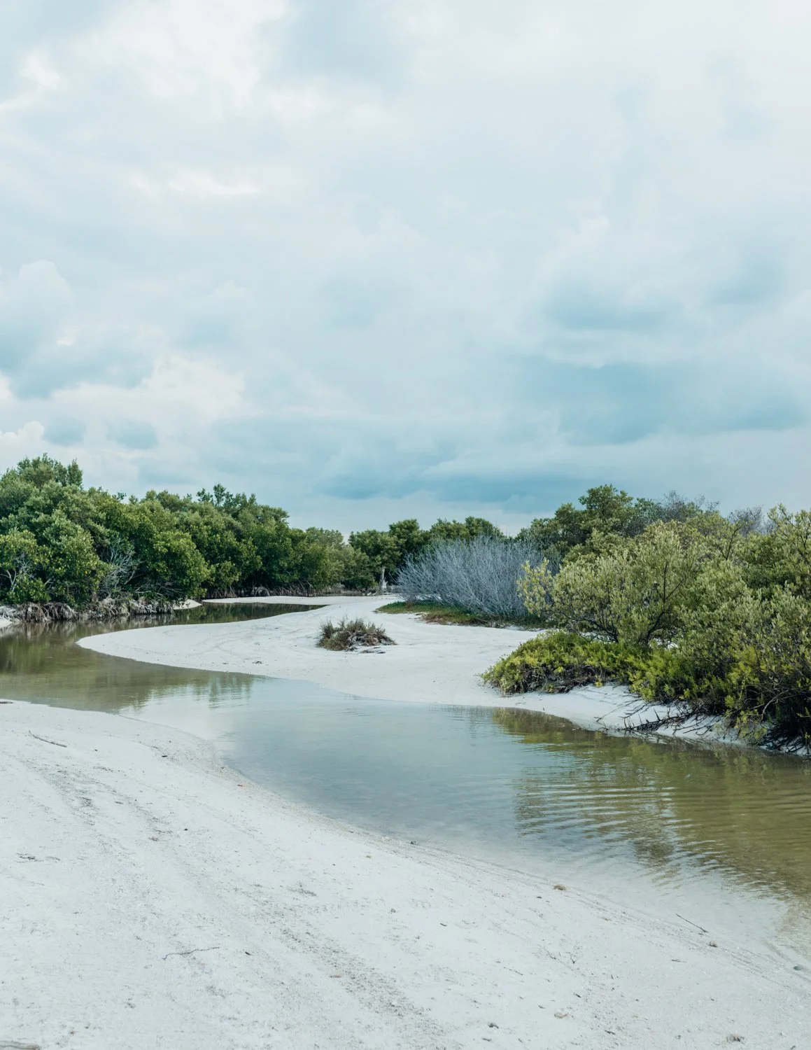 mexico-islaholbox-may16-web-30.jpg