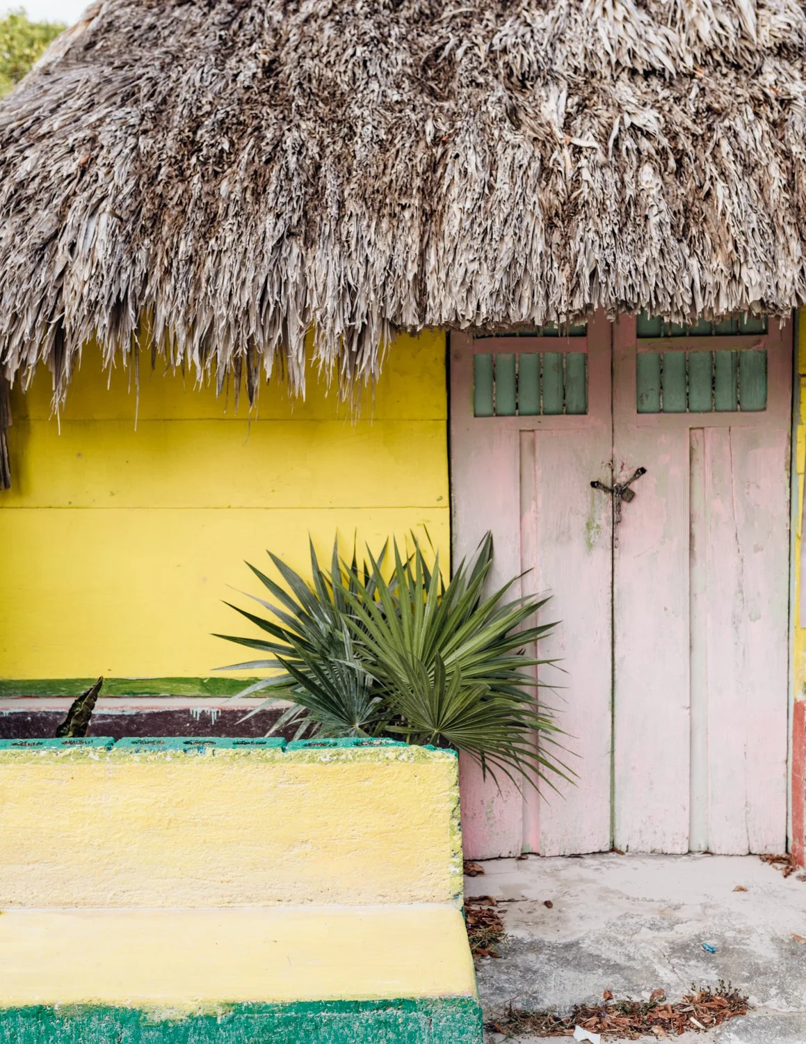 mexico-islaholbox-may16-web-51.jpg