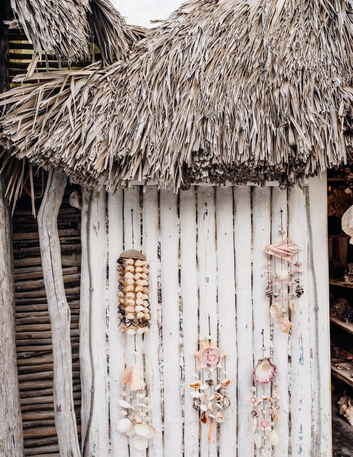 mexico-islaholbox-may16-web-52.jpg