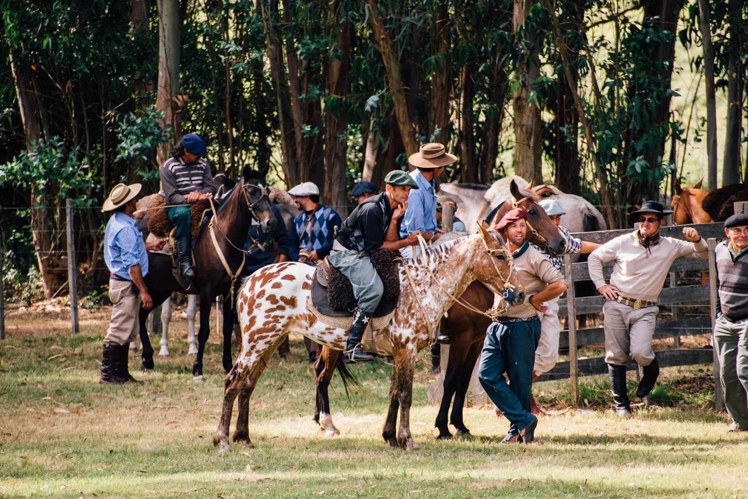 uruguay-rodeo-dec15-ijfkeridgley-web-17.jpg