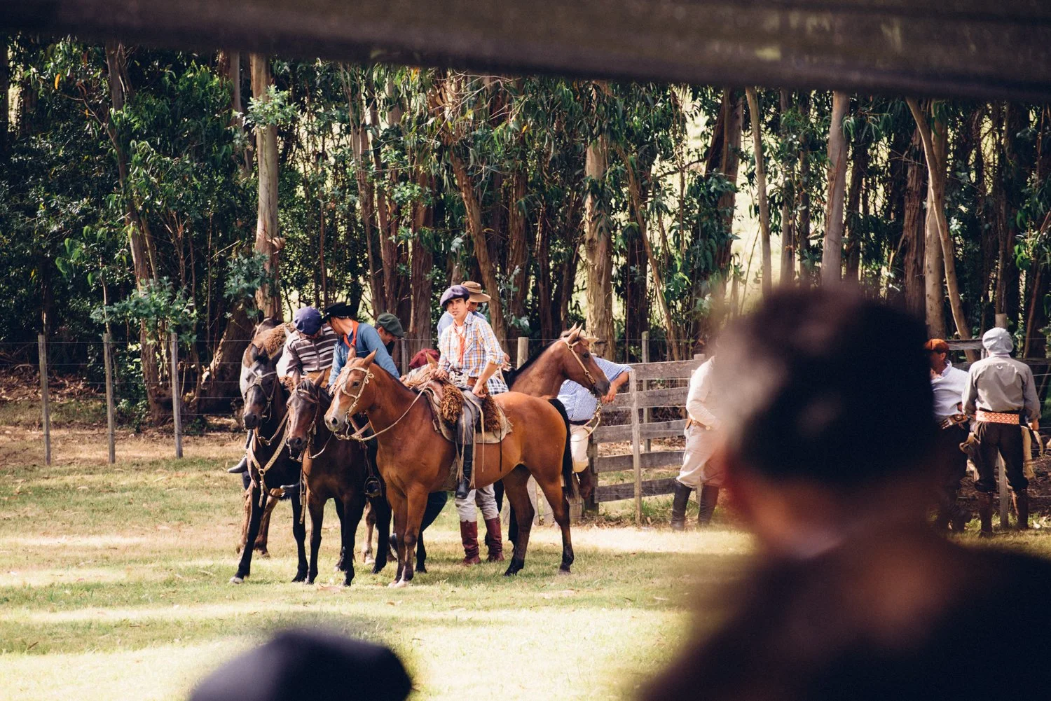 uruguay-rodeo-dec15-ijfkeridgley-web-19.jpg