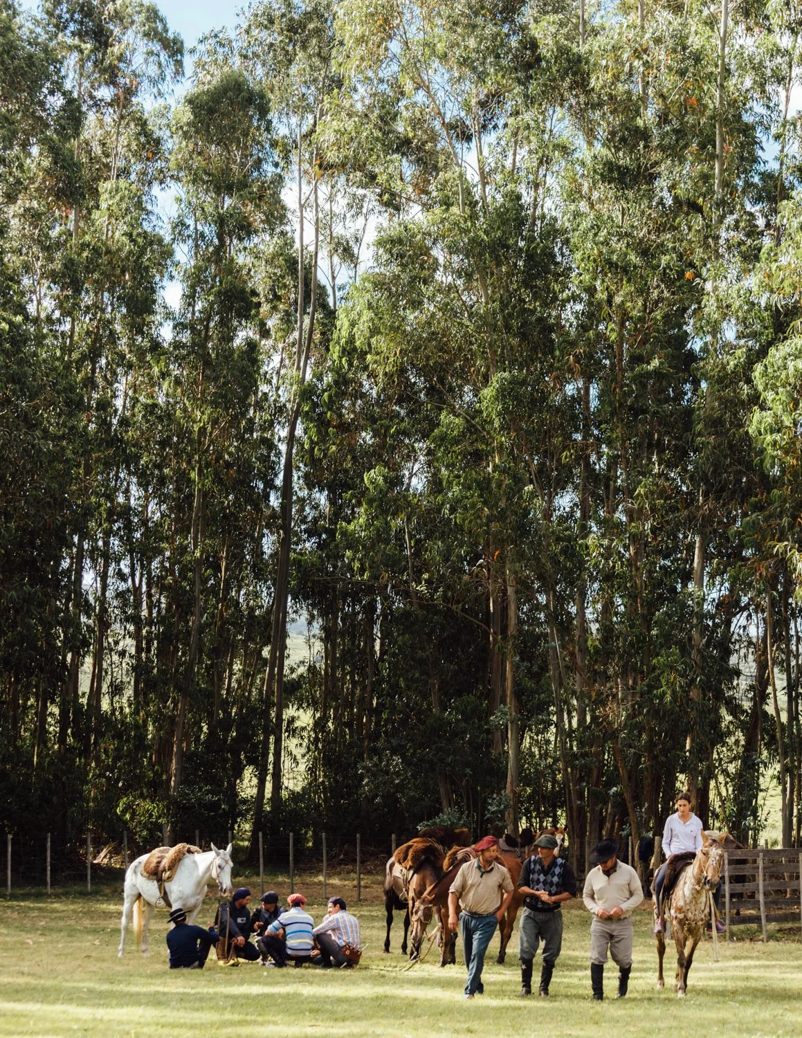 uruguay-rodeo-dec15-ijfkeridgley-web-25.jpg