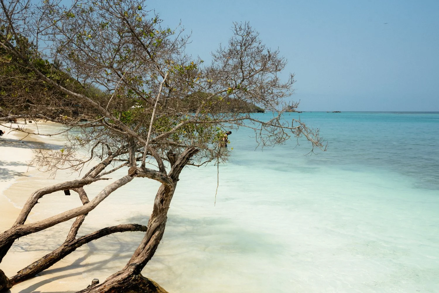 colombia-cartagenta-islasrosario-march22-31-ijfkeridgley-web.jpg