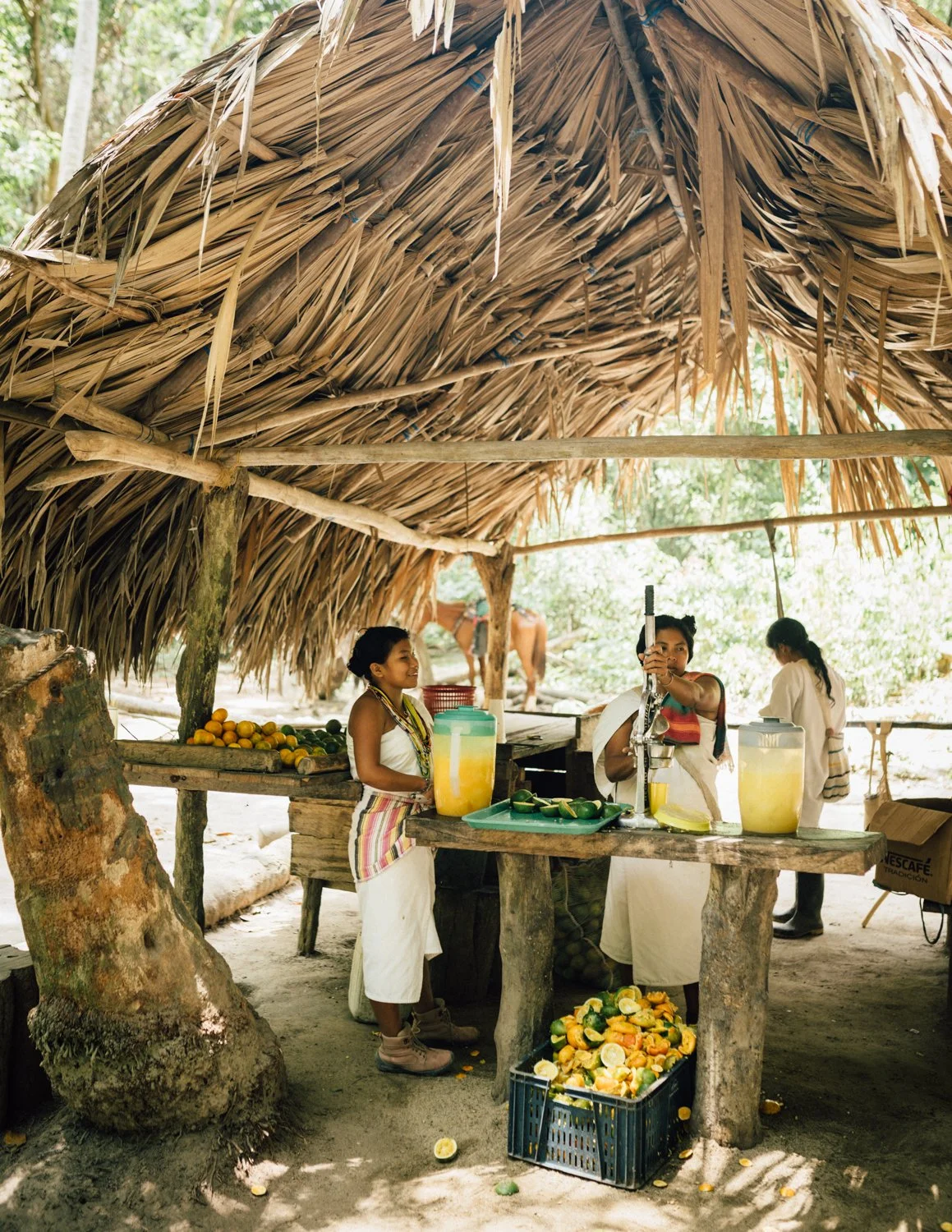 Colombia-ParqueTyrona-March22-146-ijfkeridgley-web.jpg