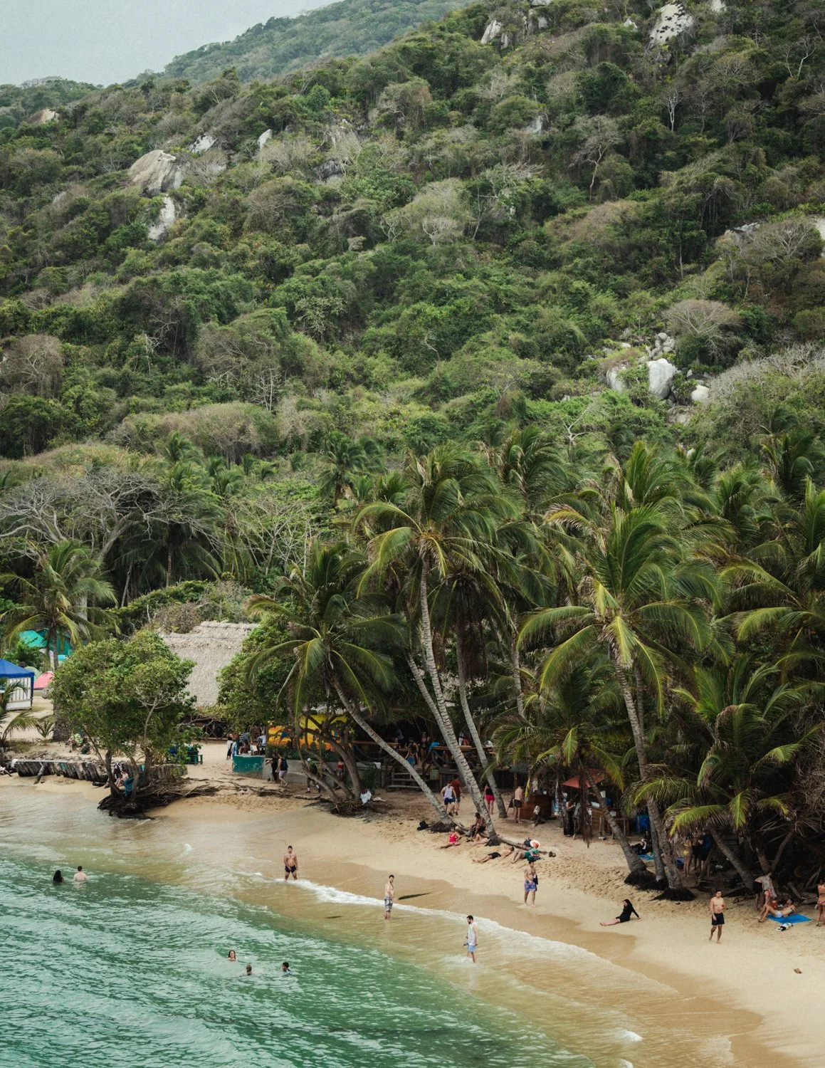Colombia-ParqueTyrona-March22-229-ijfkeridgley-web.jpg
