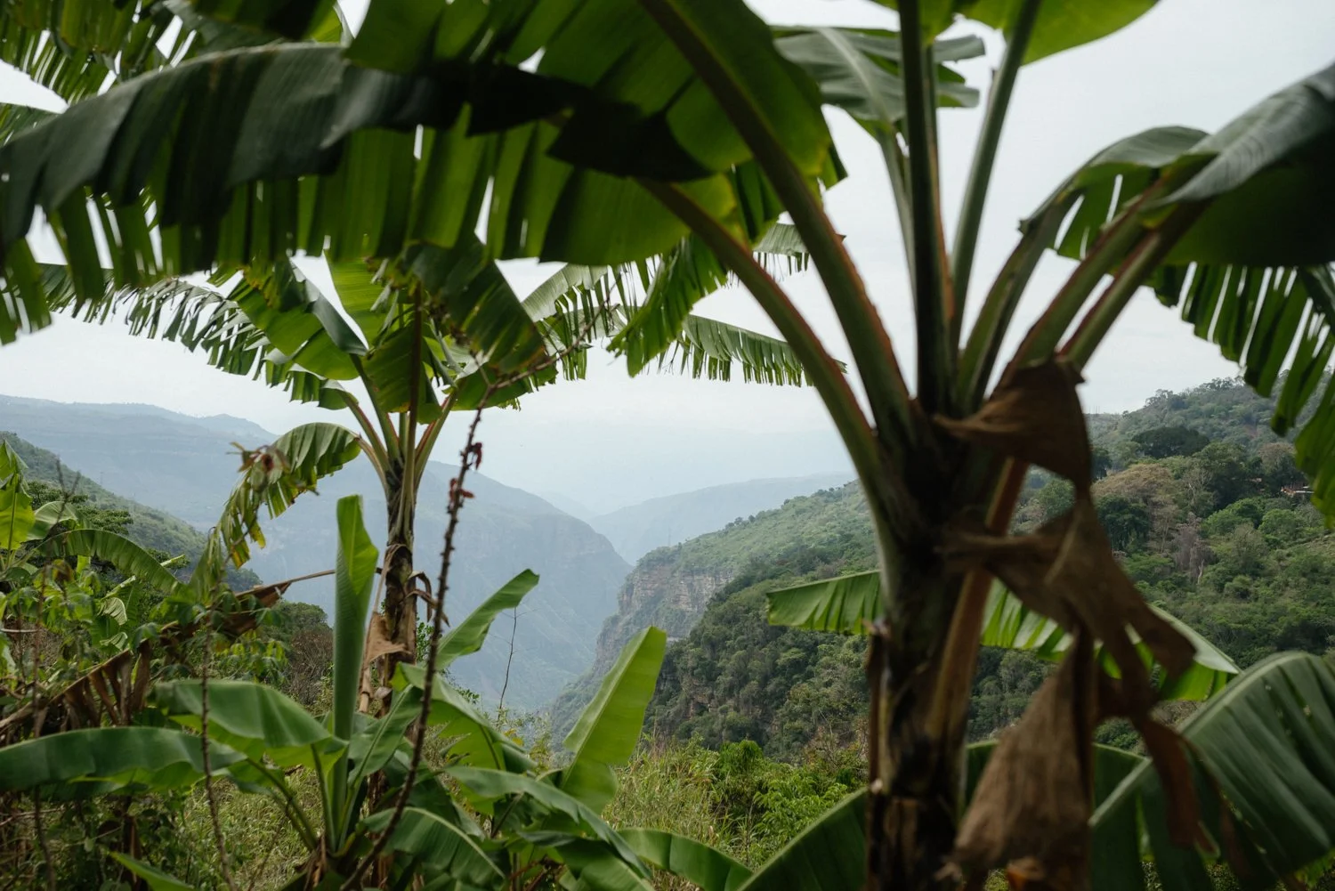 Colombia-Barichara-March22-005-ijfkeridgley-web.jpg