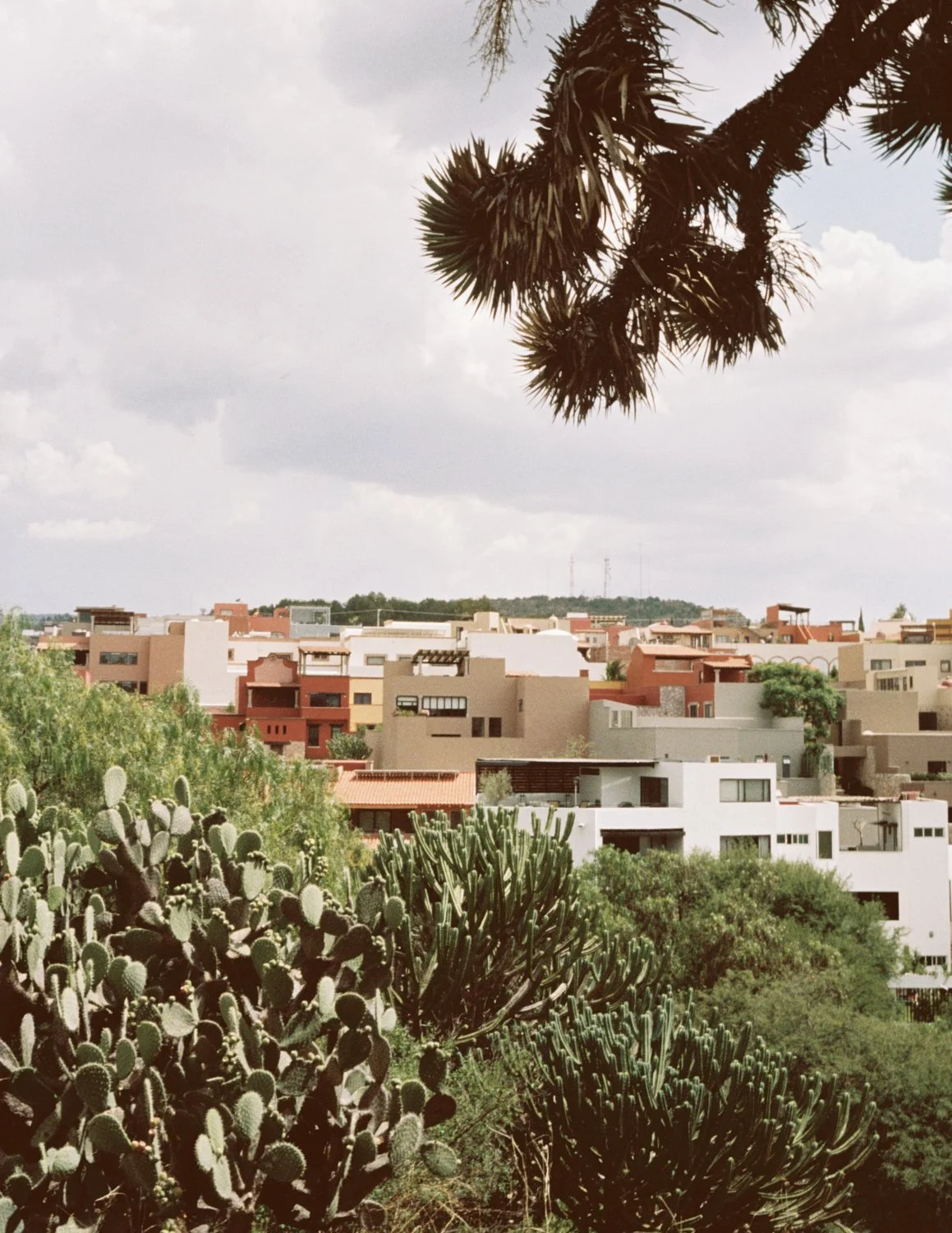 film-mexico-SMA-June22-008-ijfkeridgley-web.jpg