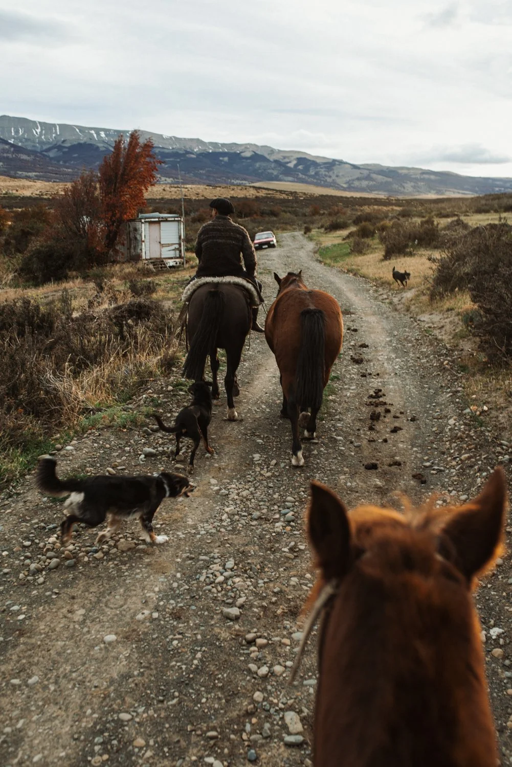 Patagonia-TorresDelPaine-Awasi-April24-711-ijfkeridgley-web.jpg