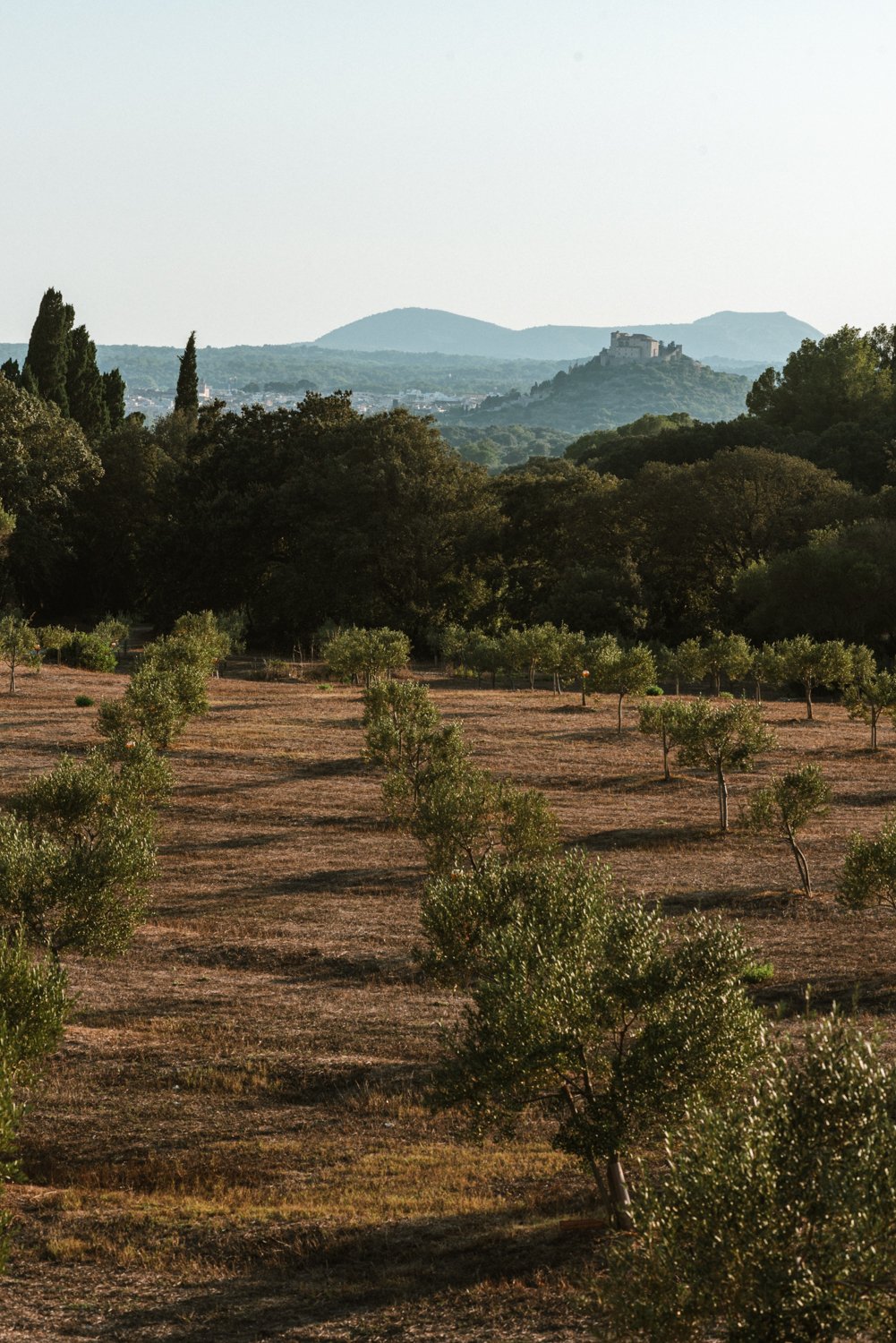 Spain-Mallorca-Aug25-502-HotelEsRacodeArta-ijfkeridgley-web.jpg