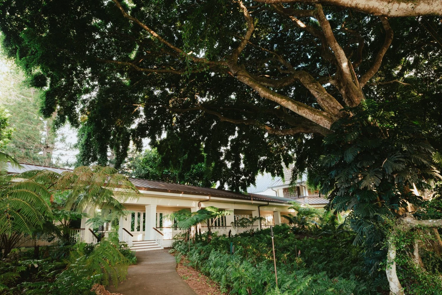 Hawaii-Lanai-Nov25-344-ijfkeridgley-web.jpg
