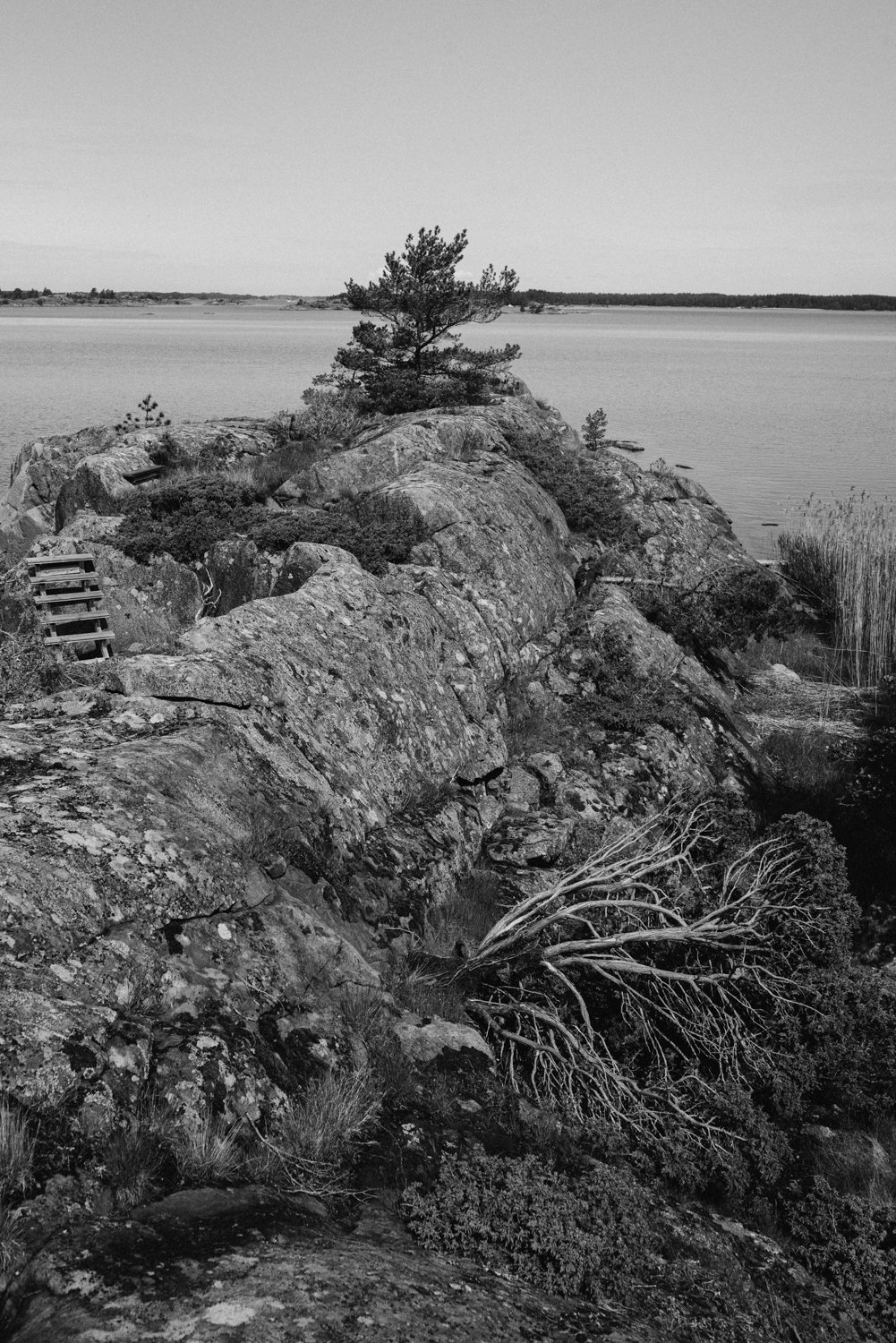 Finland-Archipelago-ProjectO-June25-276-ijfkeridgley-web.jpg