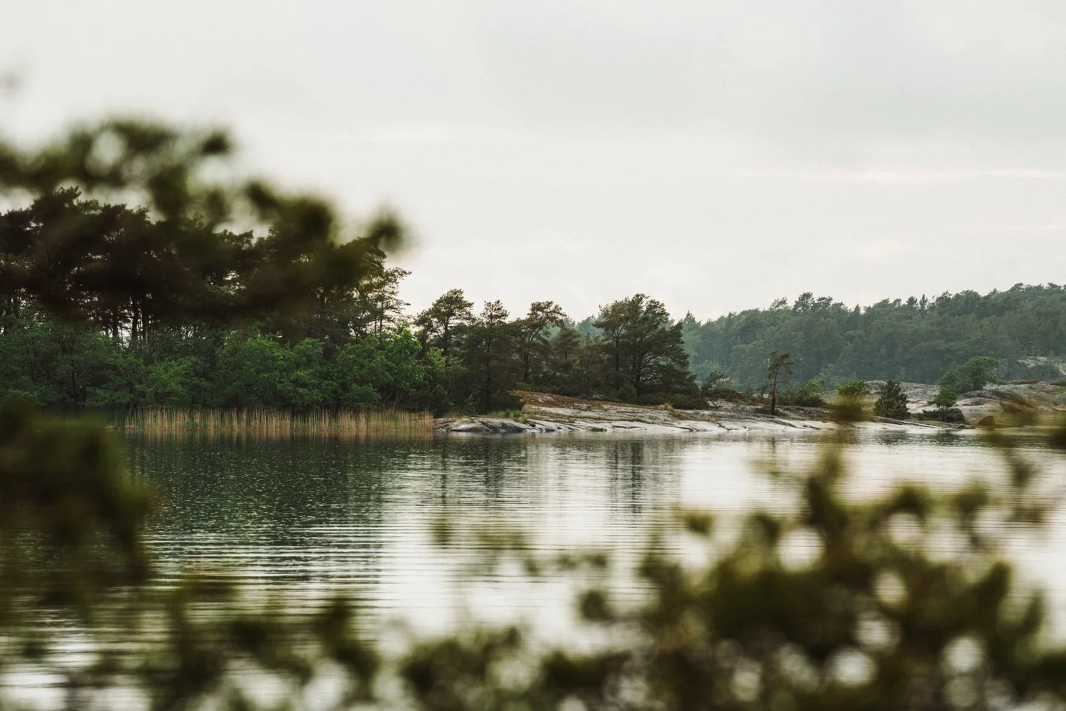 Finland-Archipelago-ProjectO-June25-633-ijfkeridgley-web.jpg