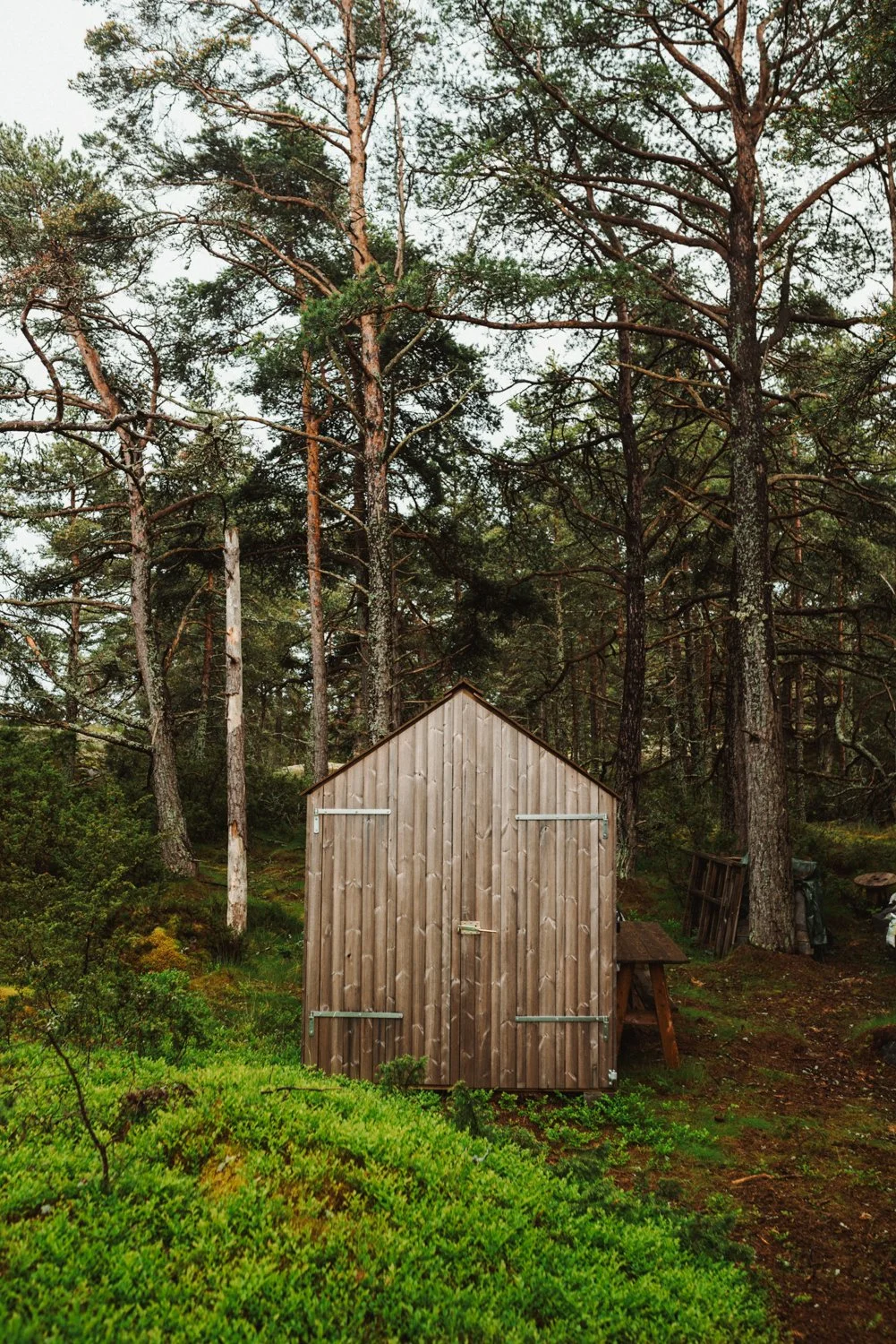 Finland-Archipelago-ProjectO-June25-654-ijfkeridgley-web.jpg
