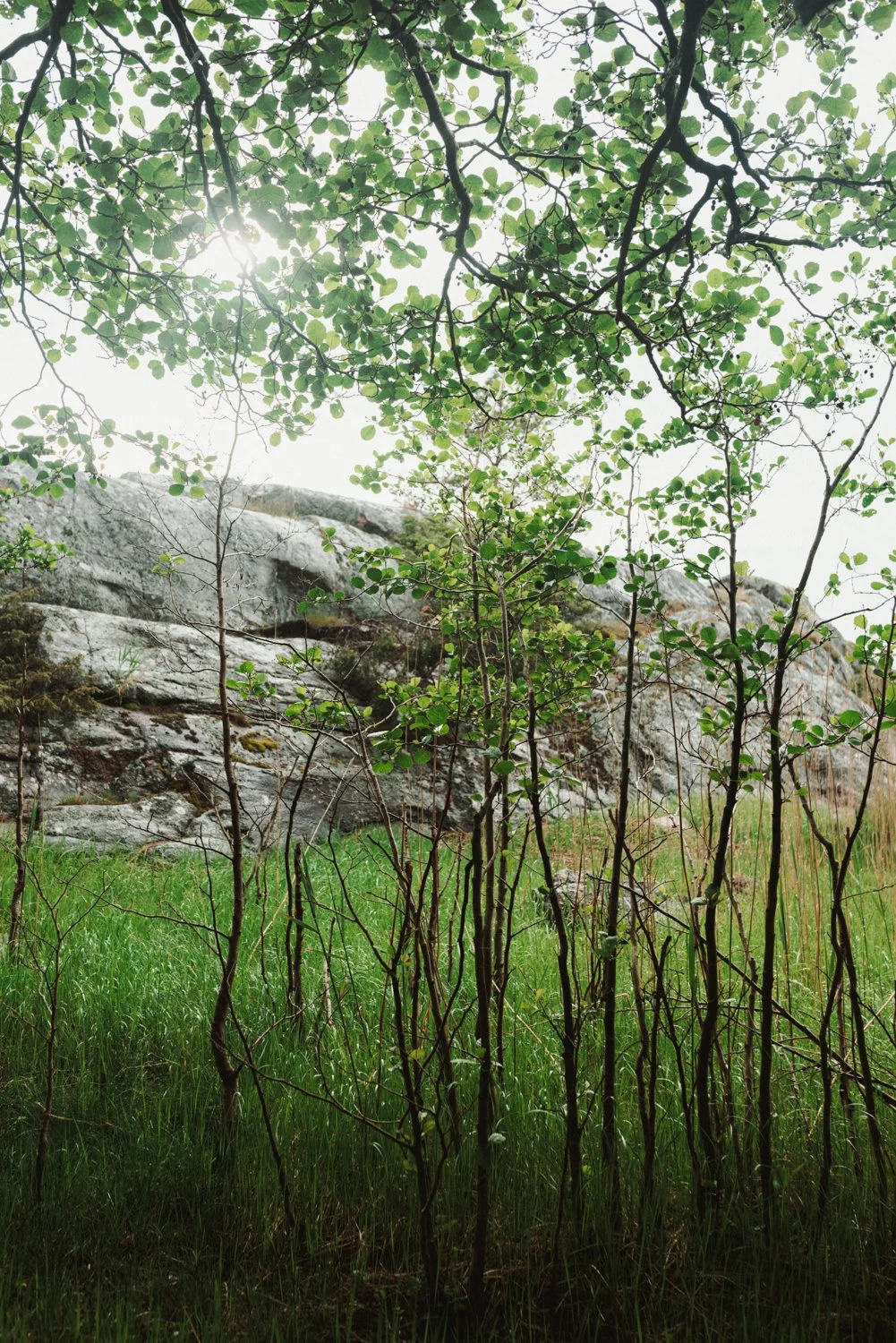 Finland-Archipelago-ProjectO-June25-658-ijfkeridgley-web.jpg