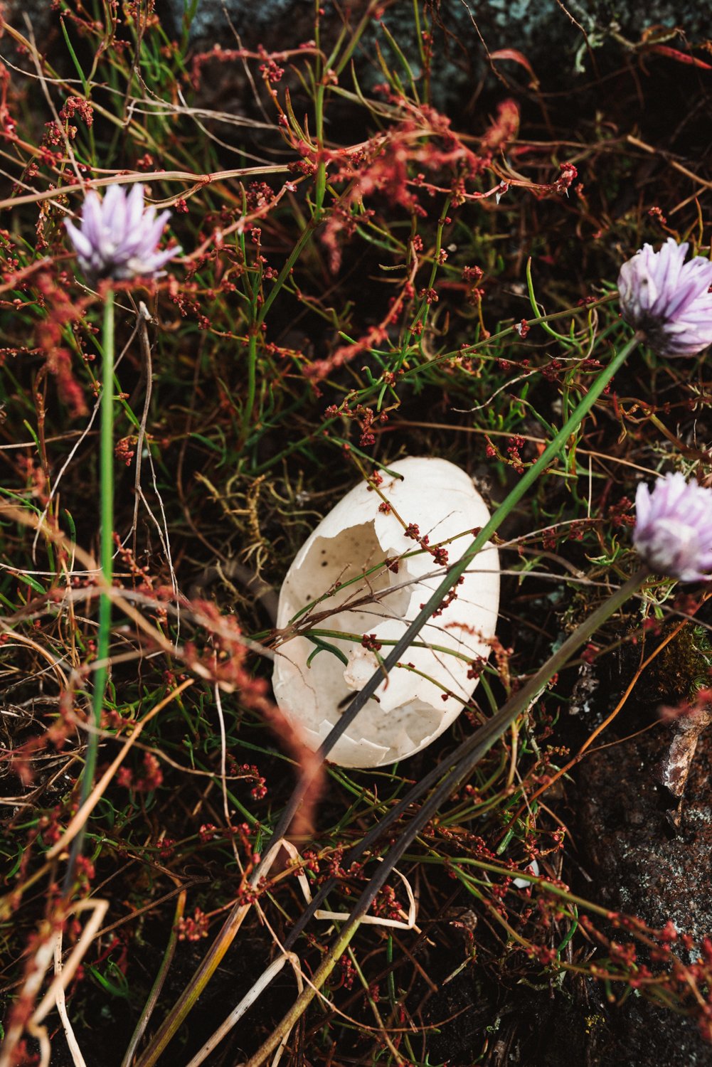 Finland-Archipelago-ProjectO-June25-693-ijfkeridgley-web.jpg
