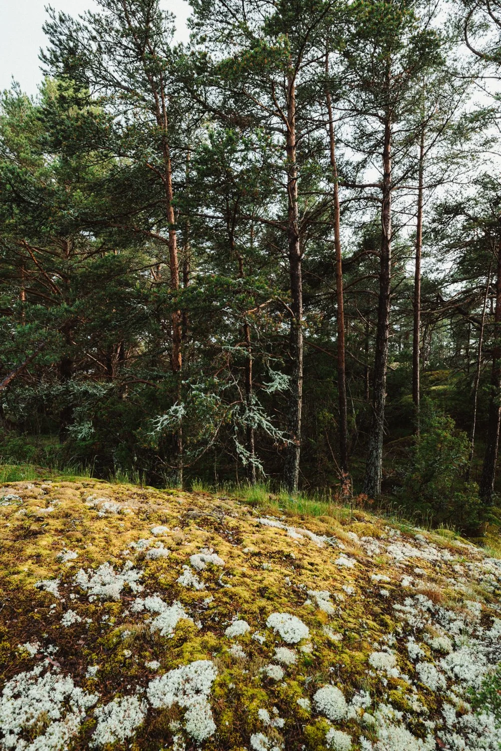 Finland-Archipelago-ProjectO-June25-707-ijfkeridgley-web.jpg