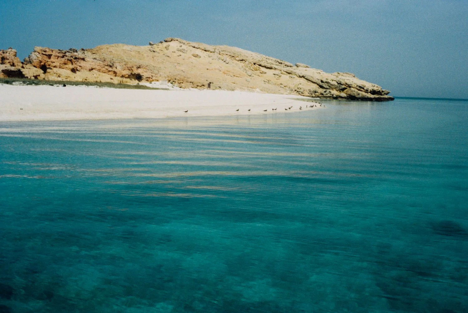 Film-Oman-2013-ijfkeridgley-web-2.jpg