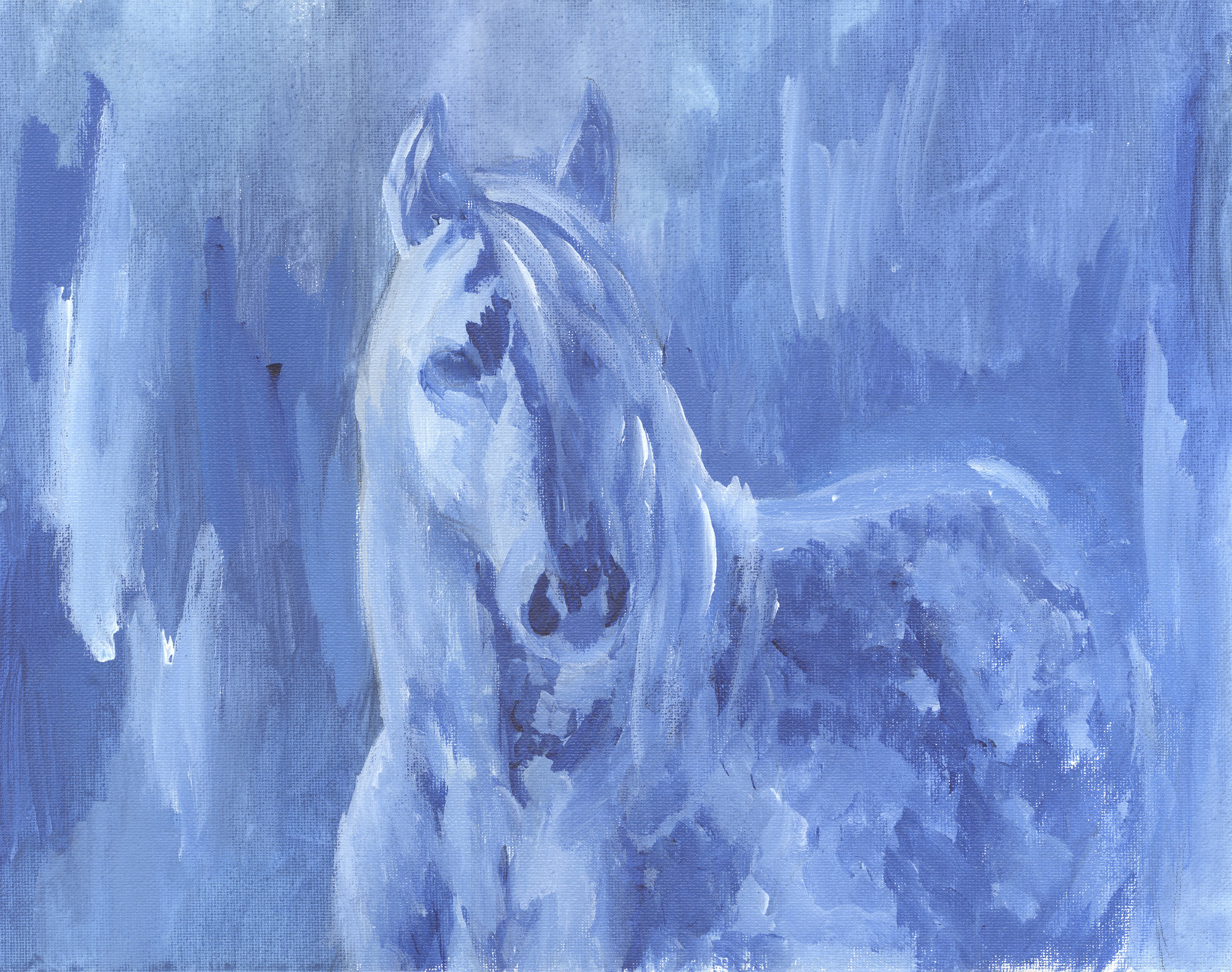 blue horse.jpg