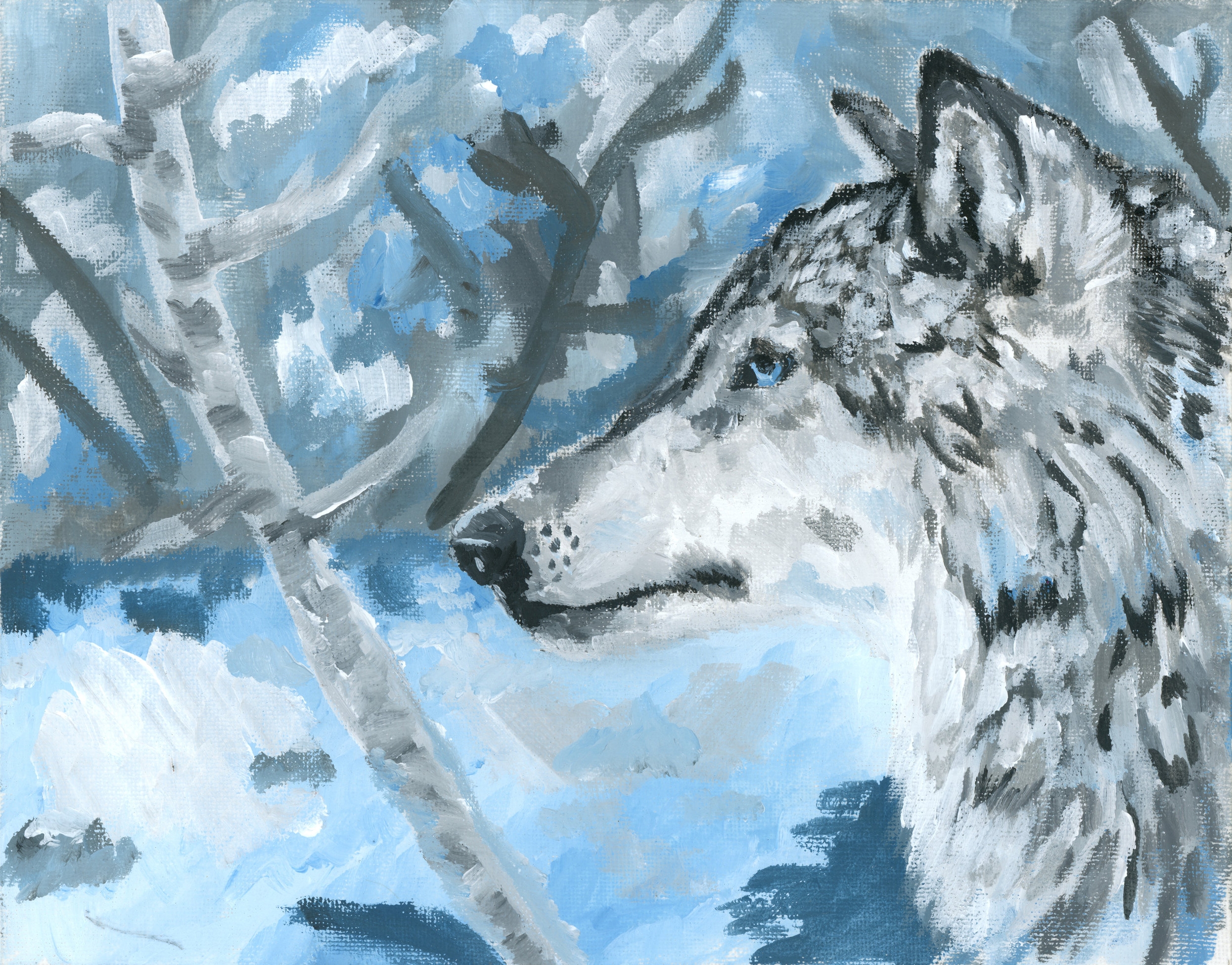 blue wolf.jpg