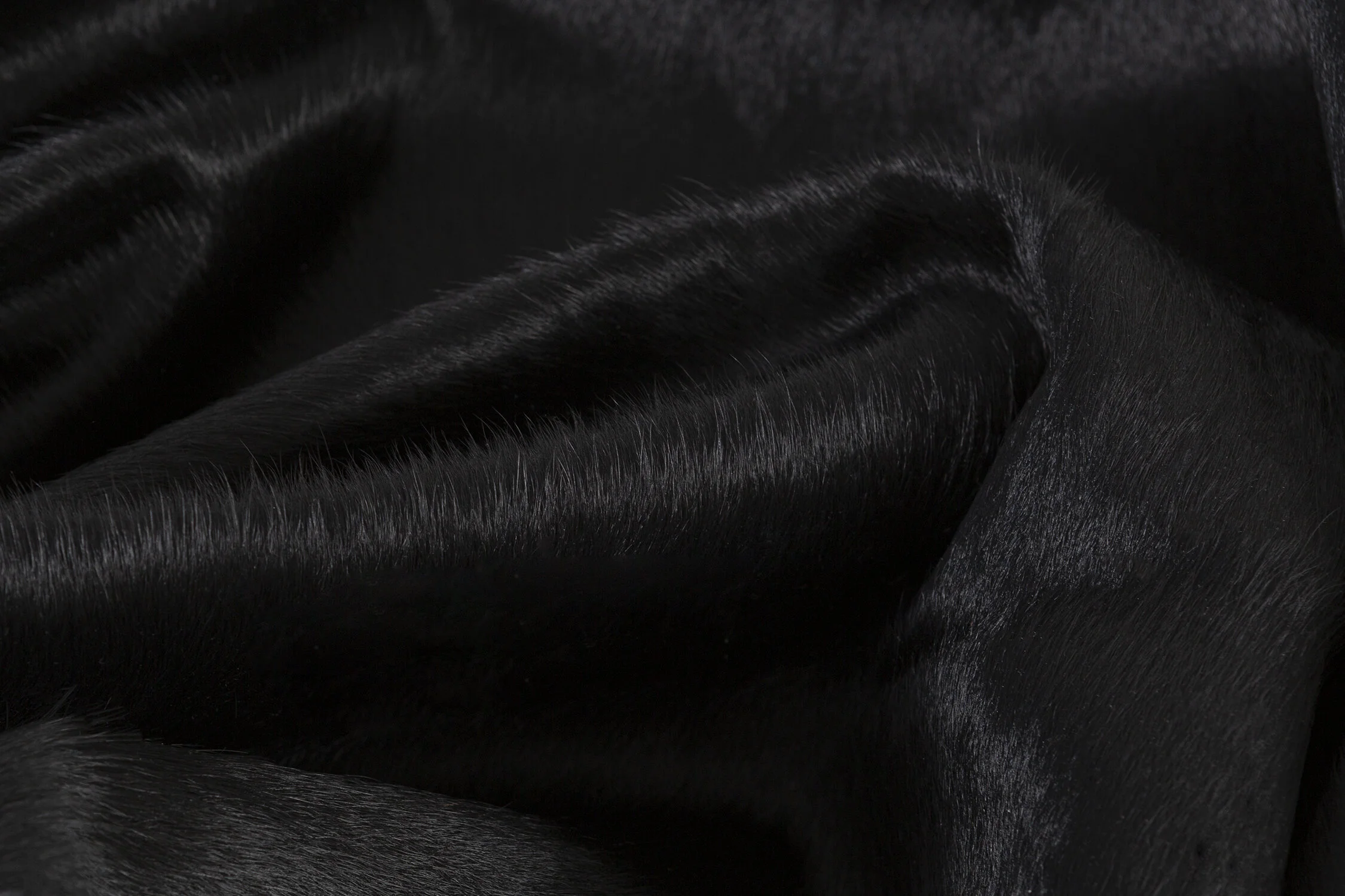Detail_SMALL.jpg