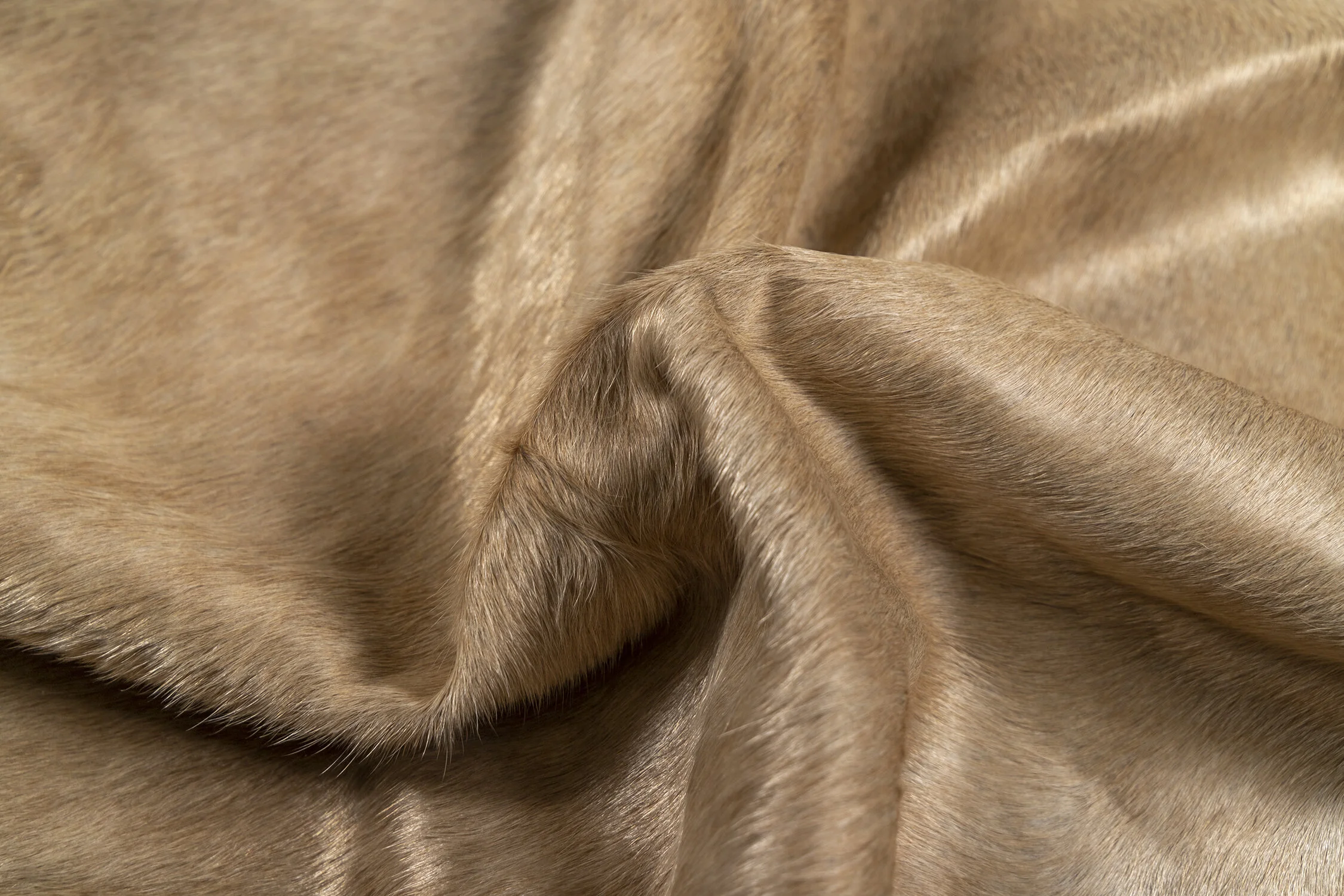 Detail_SMALL.jpg