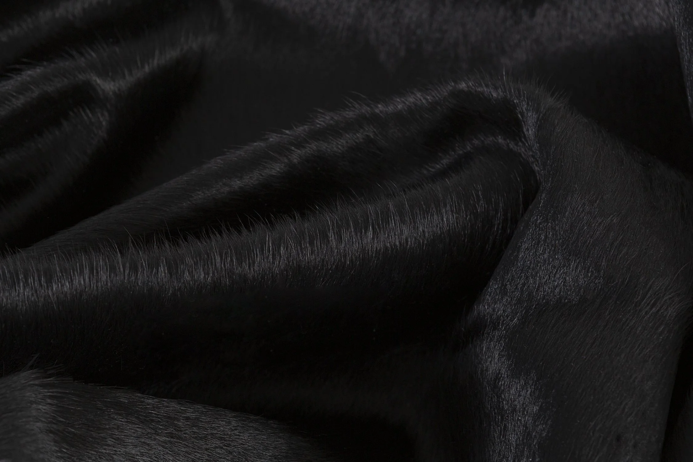 Detail_SMALL.jpg