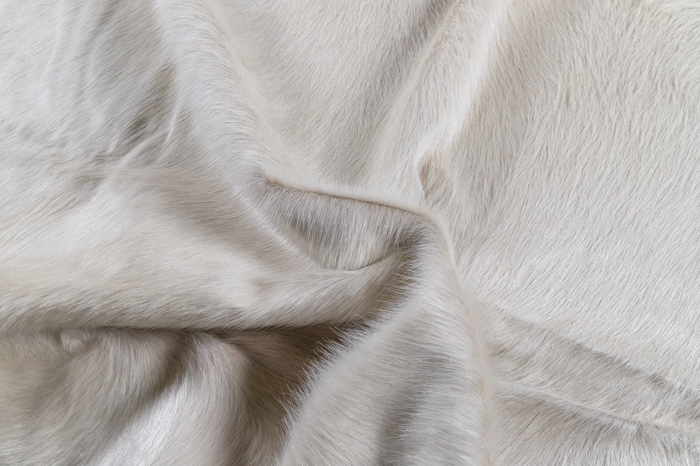 Detail_SMALL.jpg