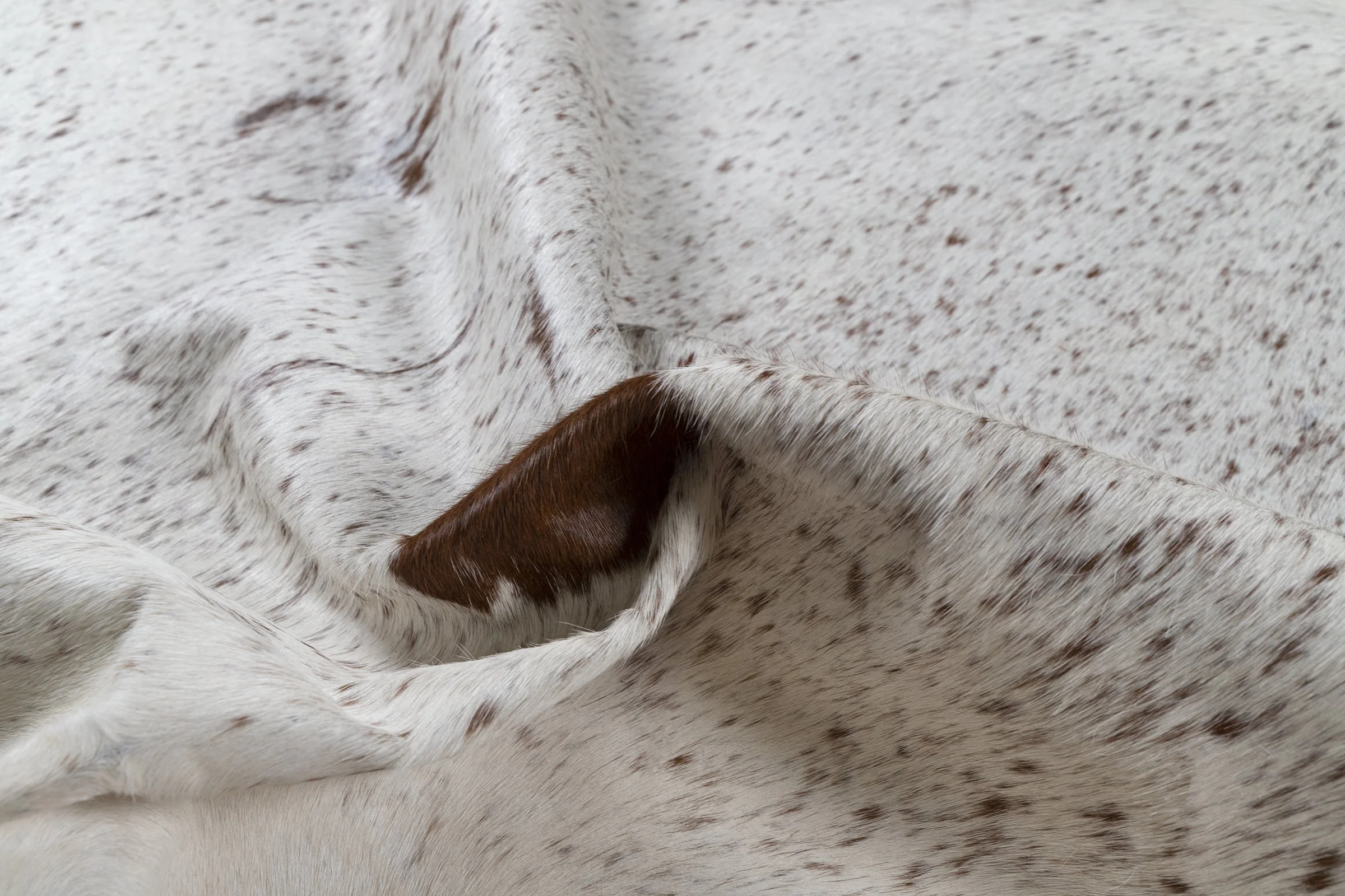 Detail_SMALL.jpg