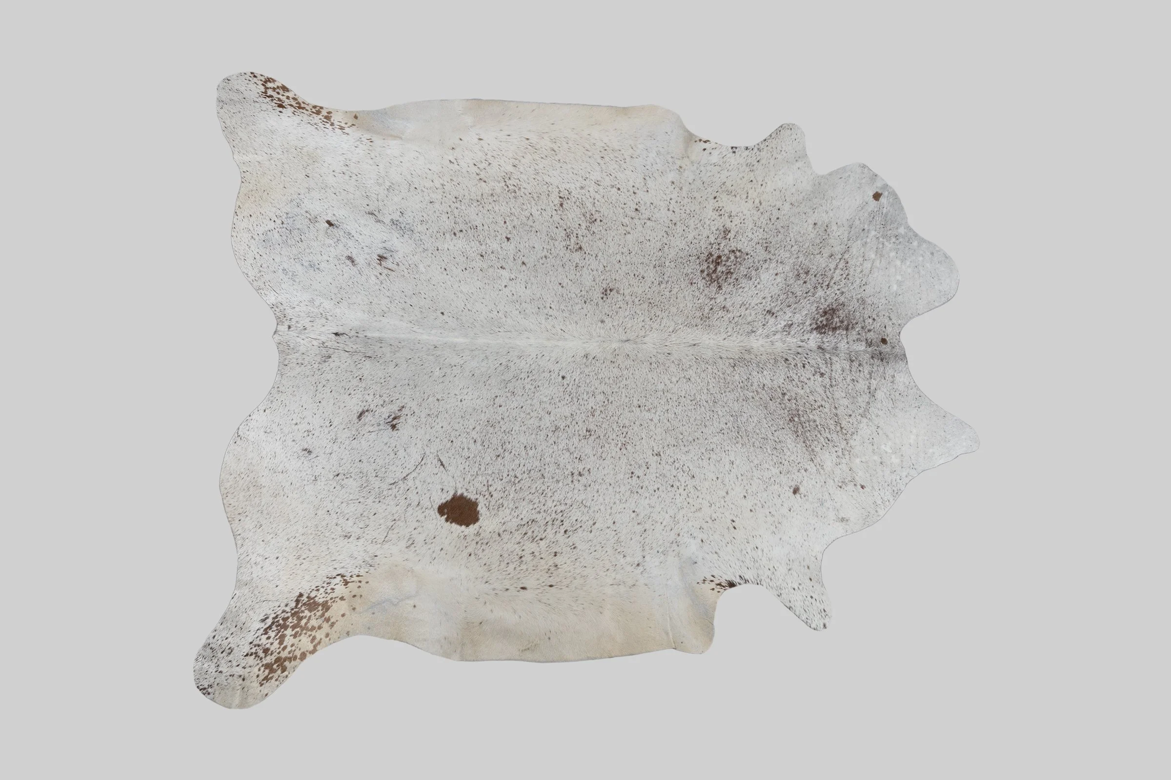 1184_SMALL.jpg