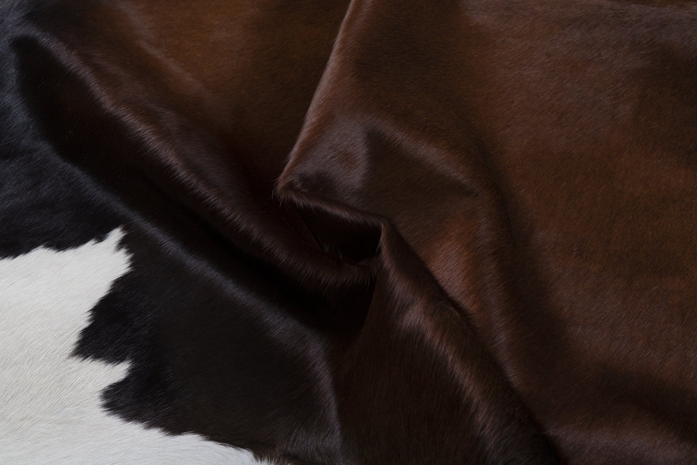 Detail_SMALL.jpg