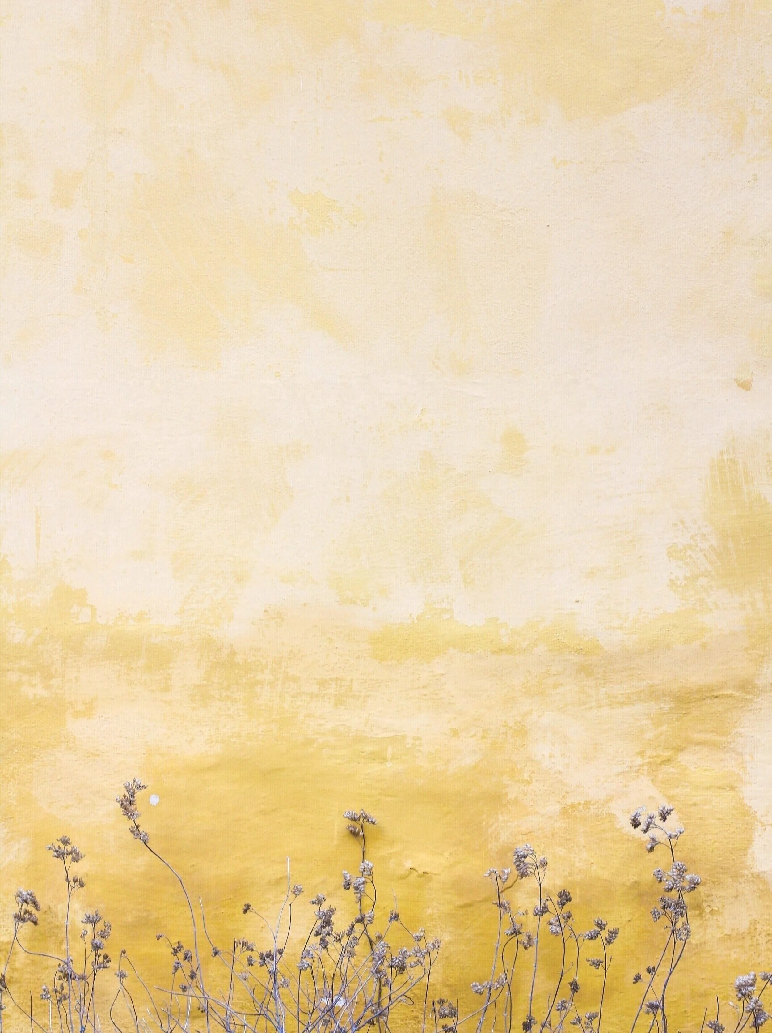 Blumen vor Wand