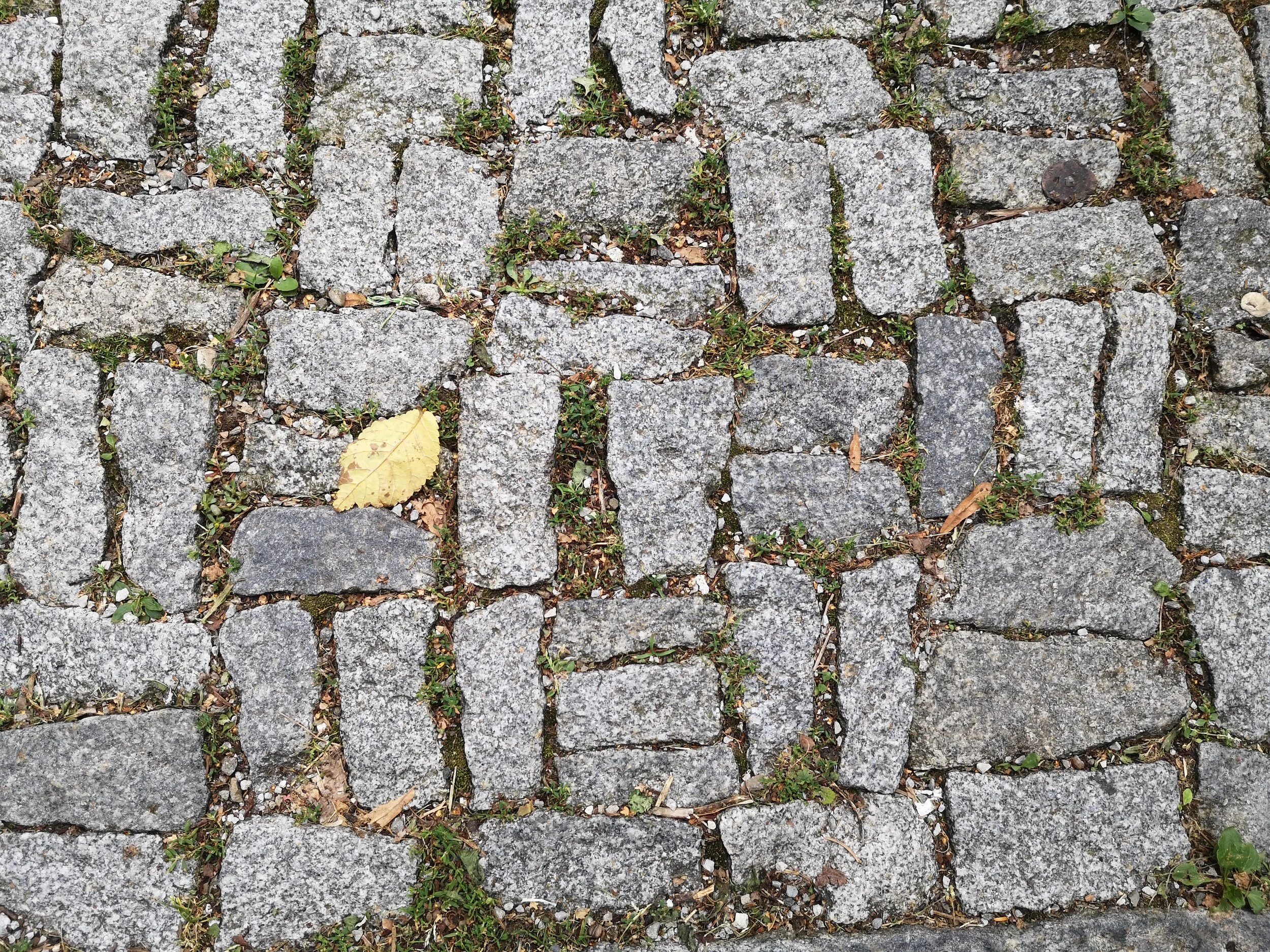 Weekender schwarz / weiß