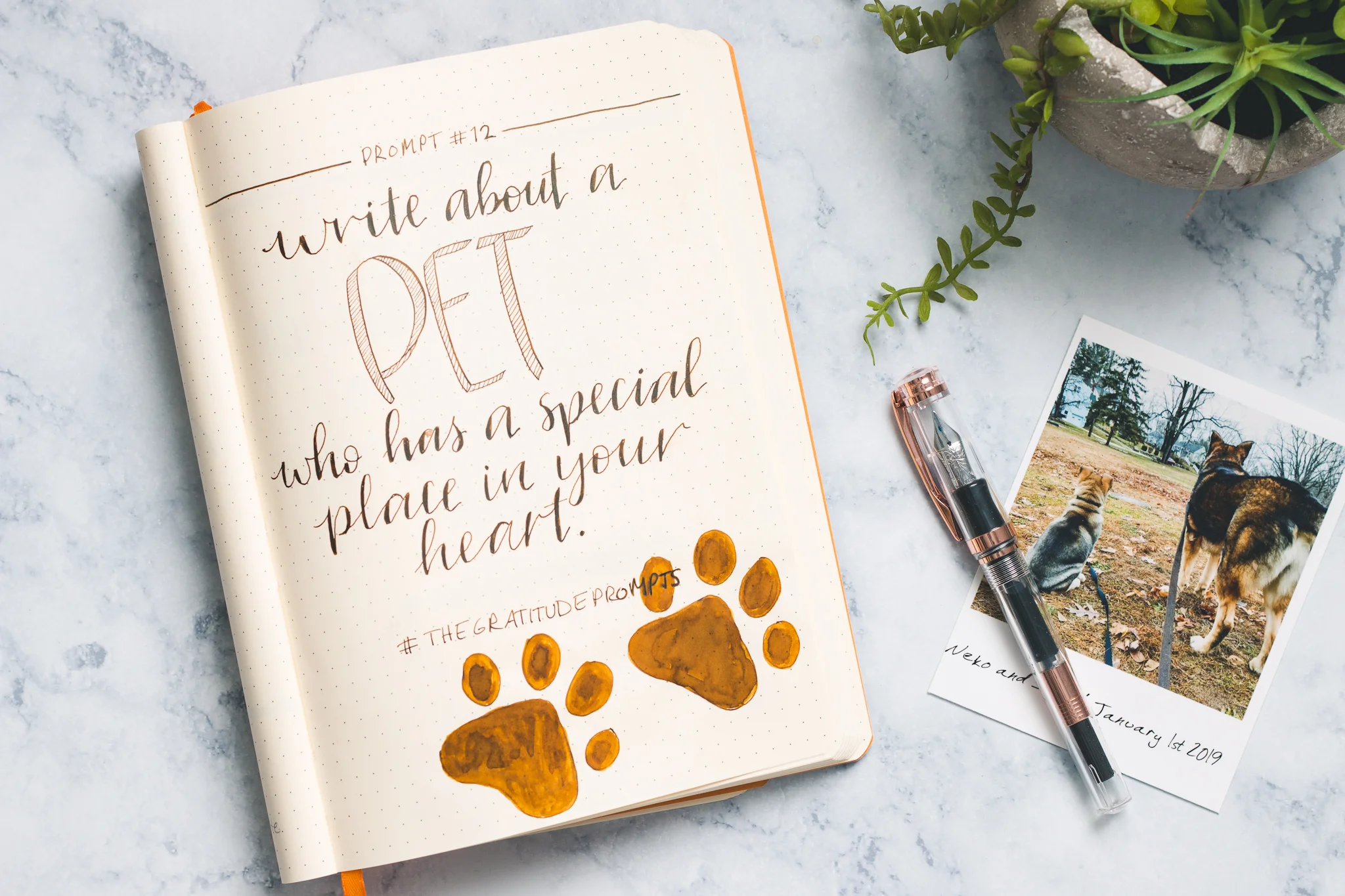 Journal Prompt #12, four-legged friends | The Gratitude Log.jpg
