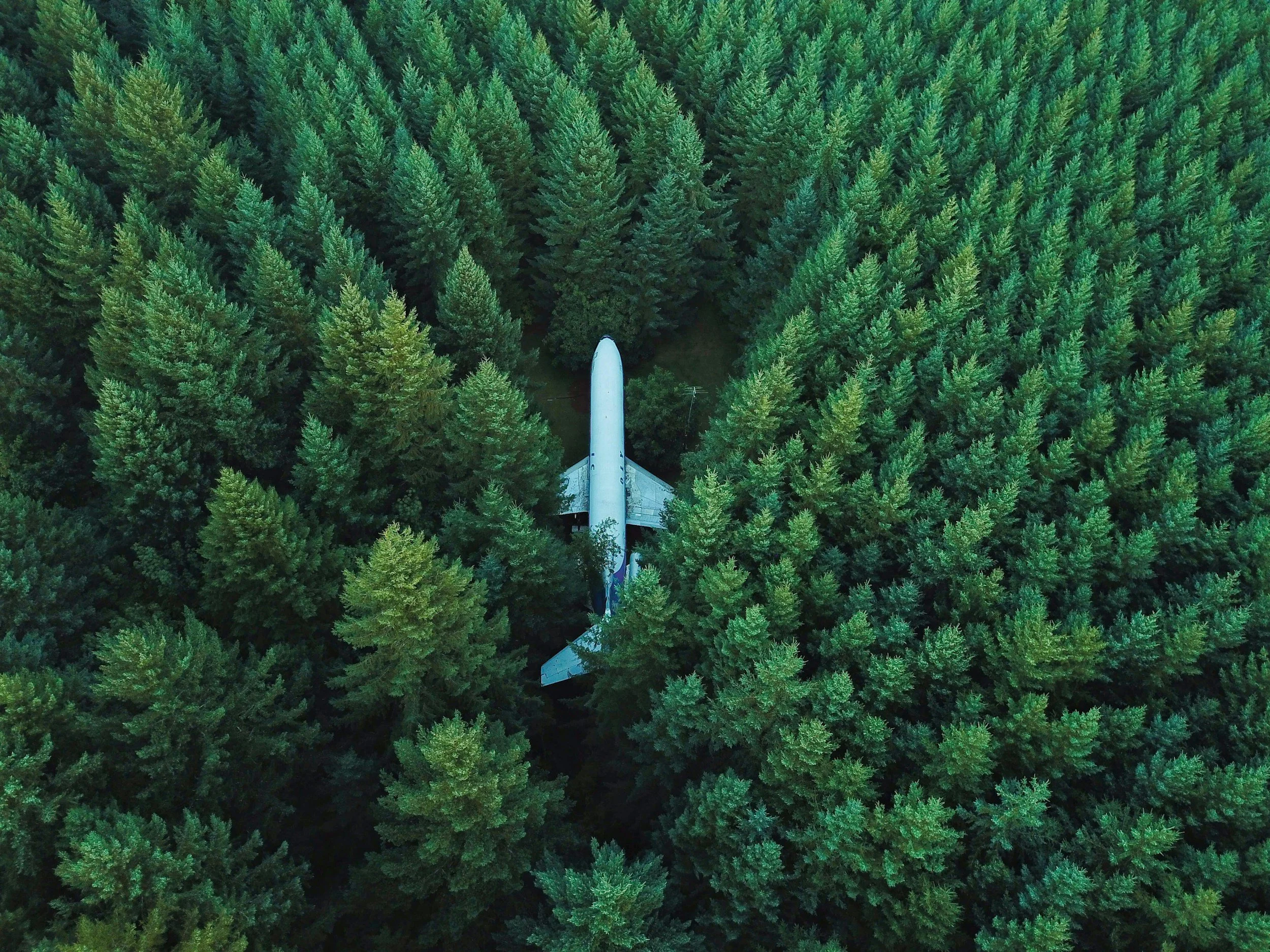 unsplash-image-G85VuTpw6jg.jpg