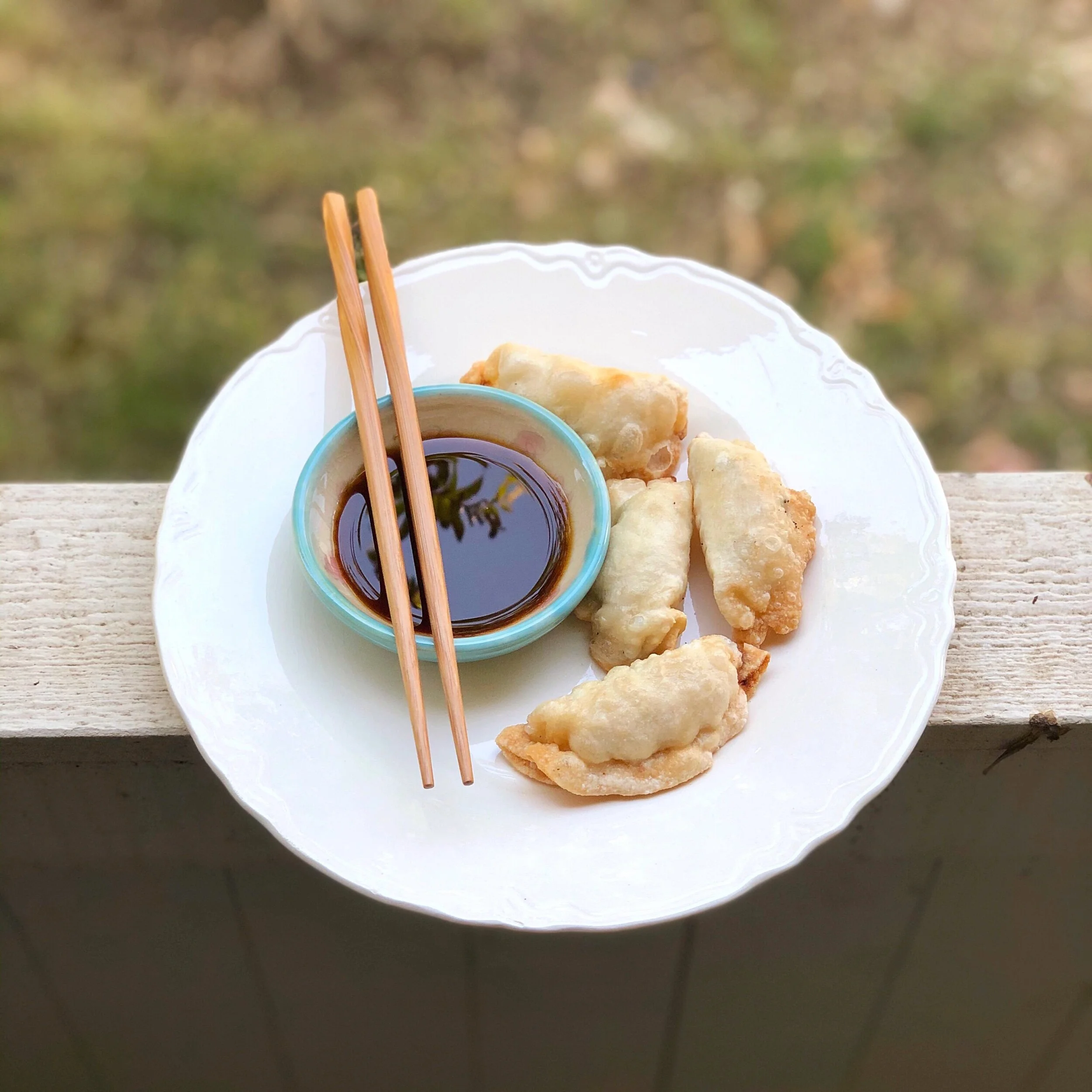 Fried Potstickers