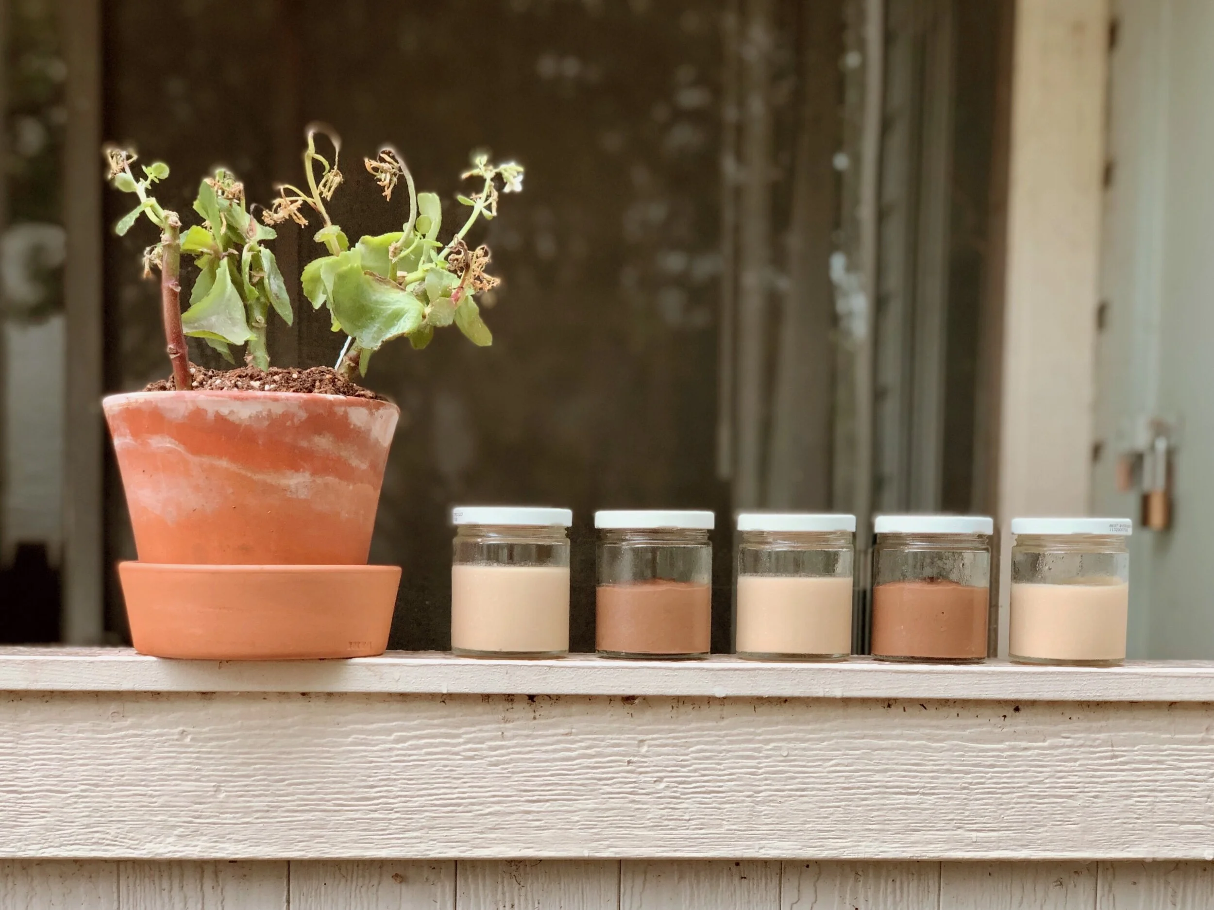 Dairy Free Chocolate or Vanilla Pudding